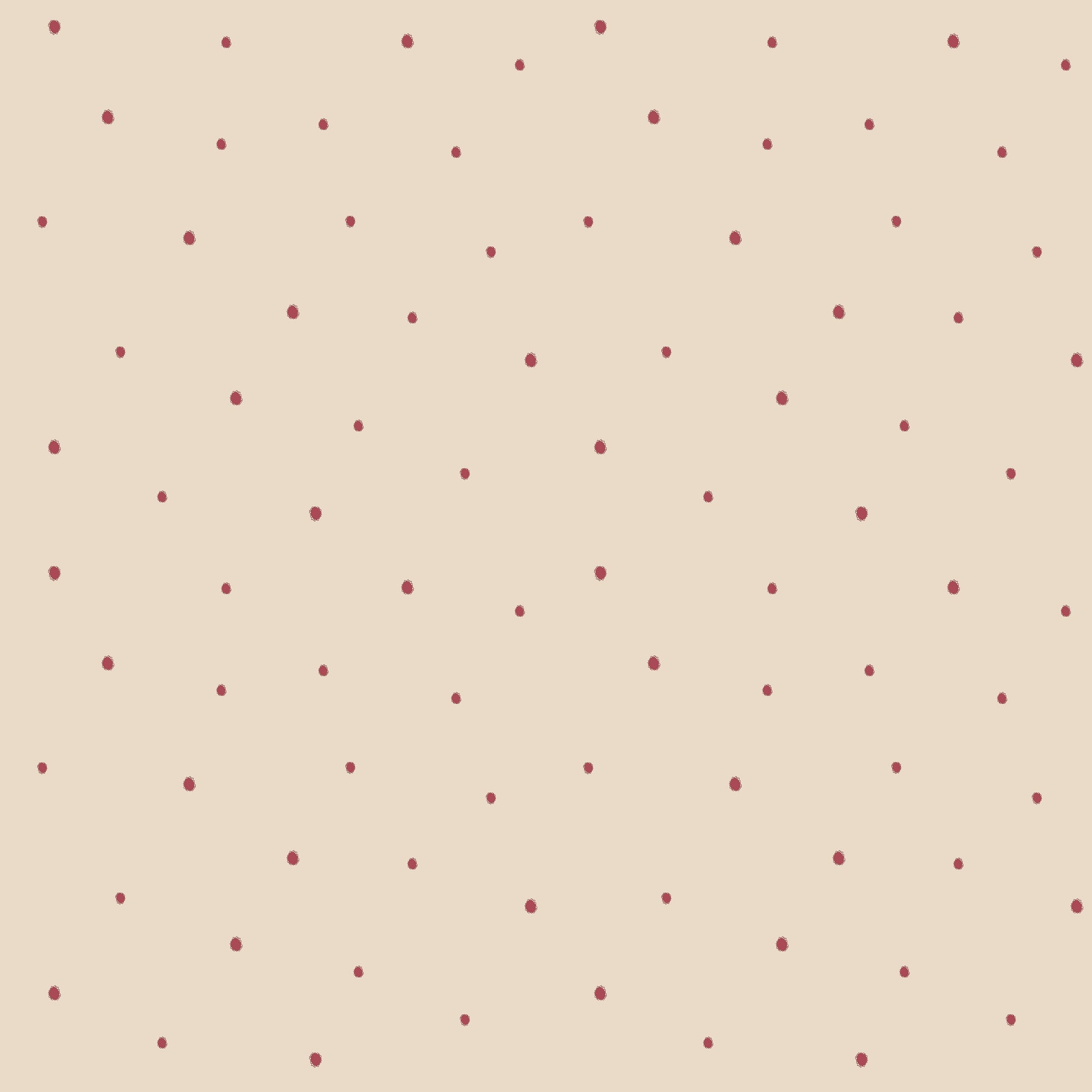 Dolce Daisies Wallpaper, Pavlova, Roll