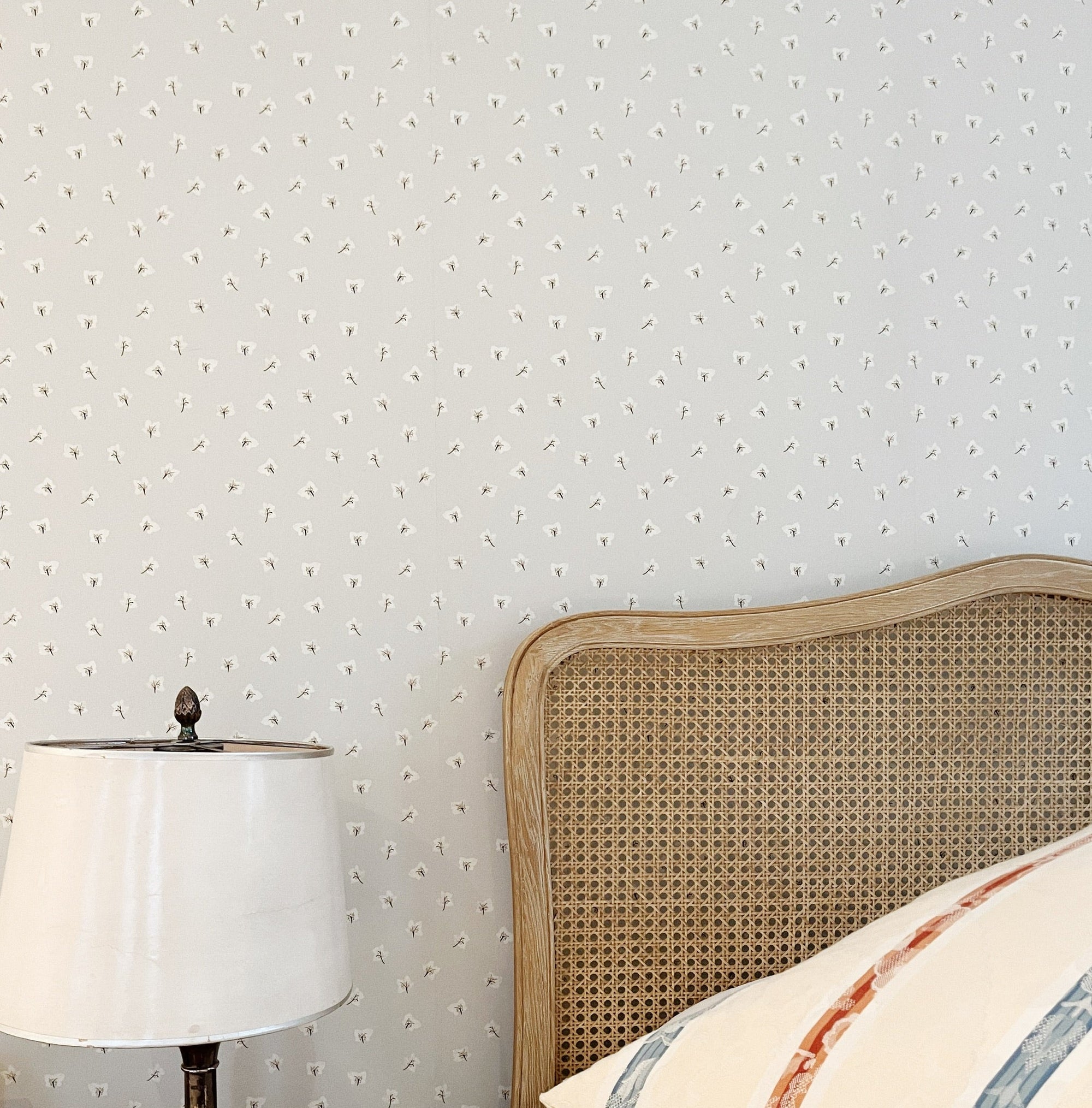 All Year Hellebores Wallpaper – CLASSIC