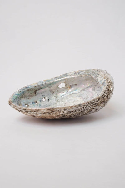 Extra Large Vintage Shell
