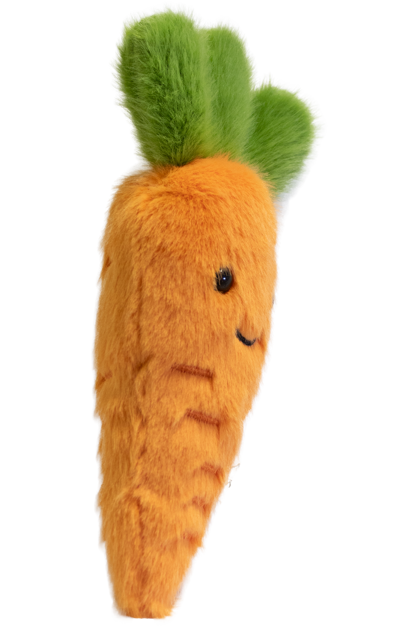 Garden Friends Carrot