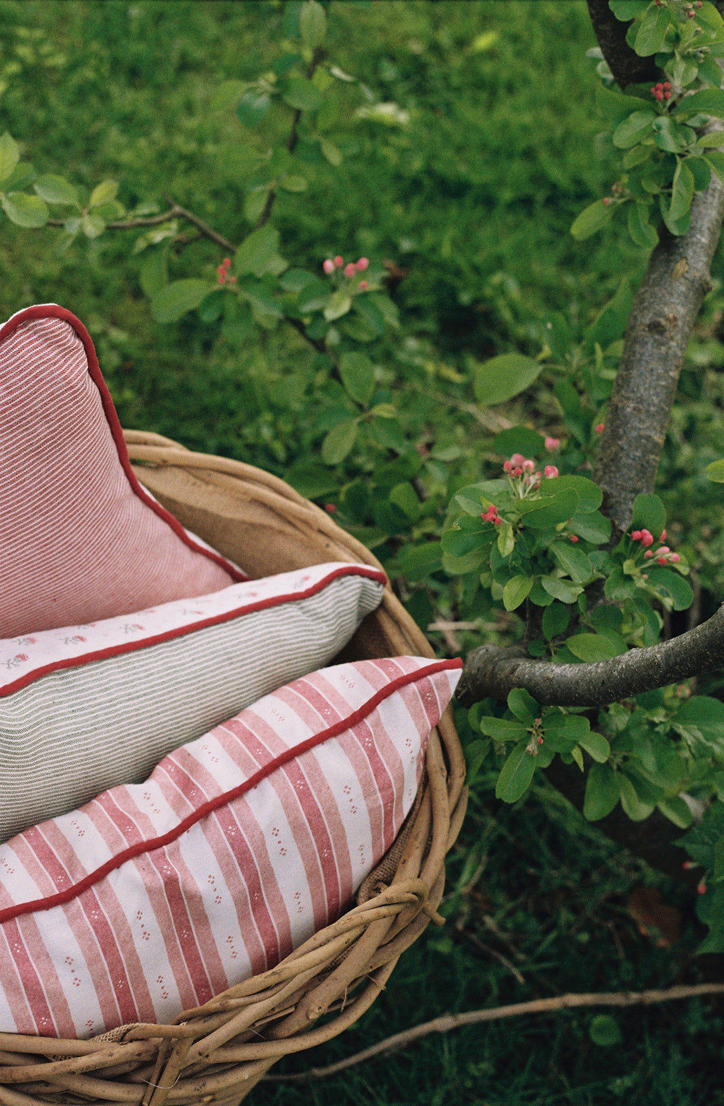 Blume Green Cushion - Square