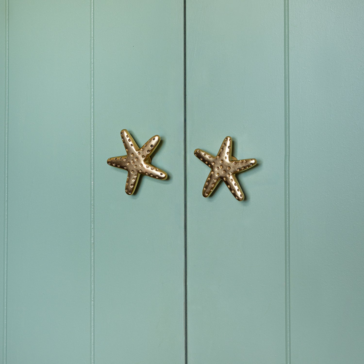 Starfish Knob, Lacquered Brass