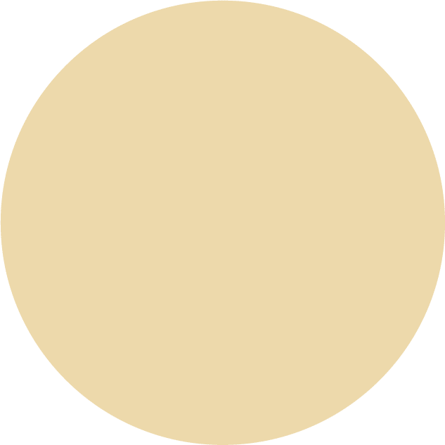 Soft Plate – Custard