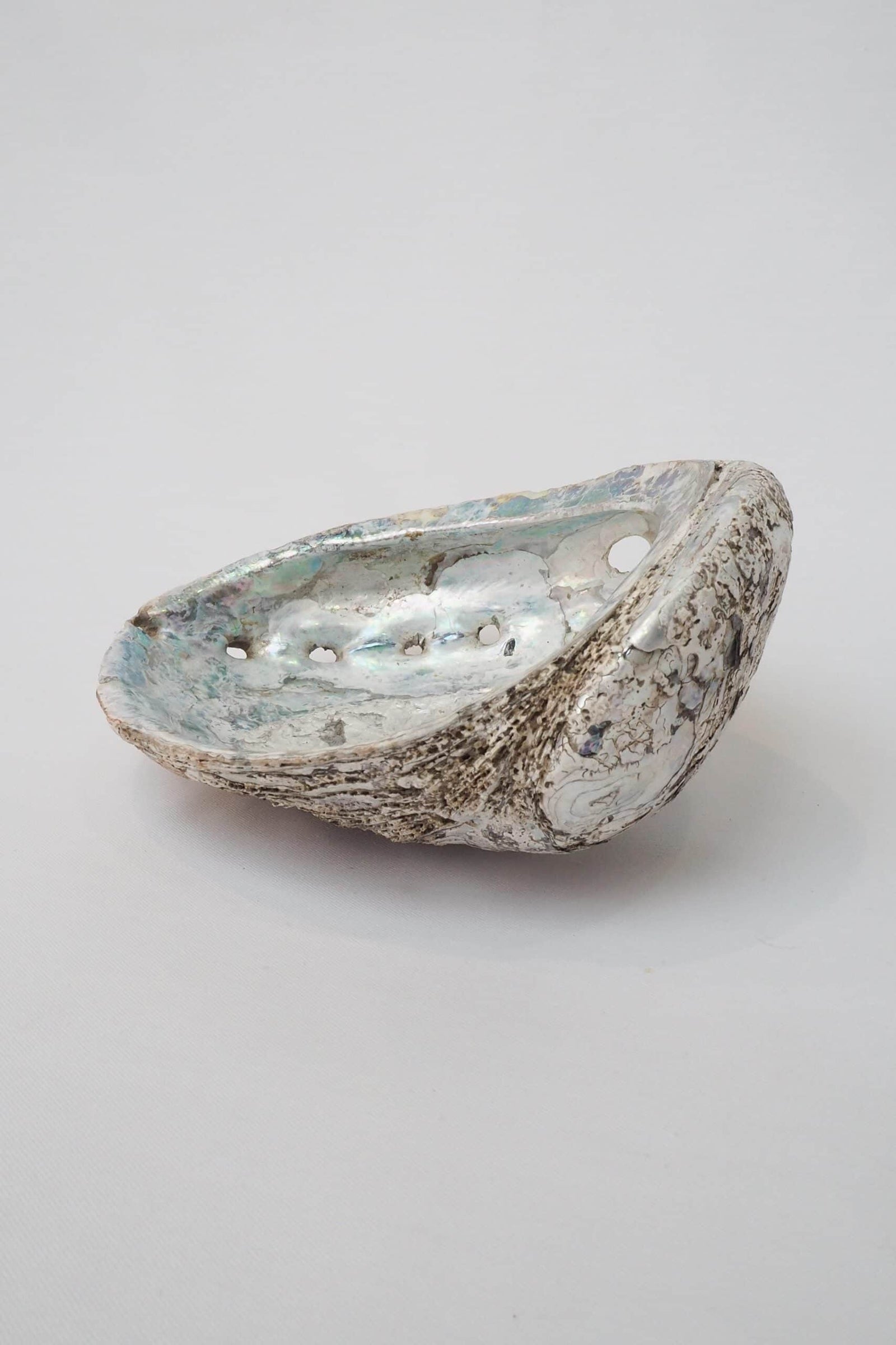 Extra Large Vintage Shell