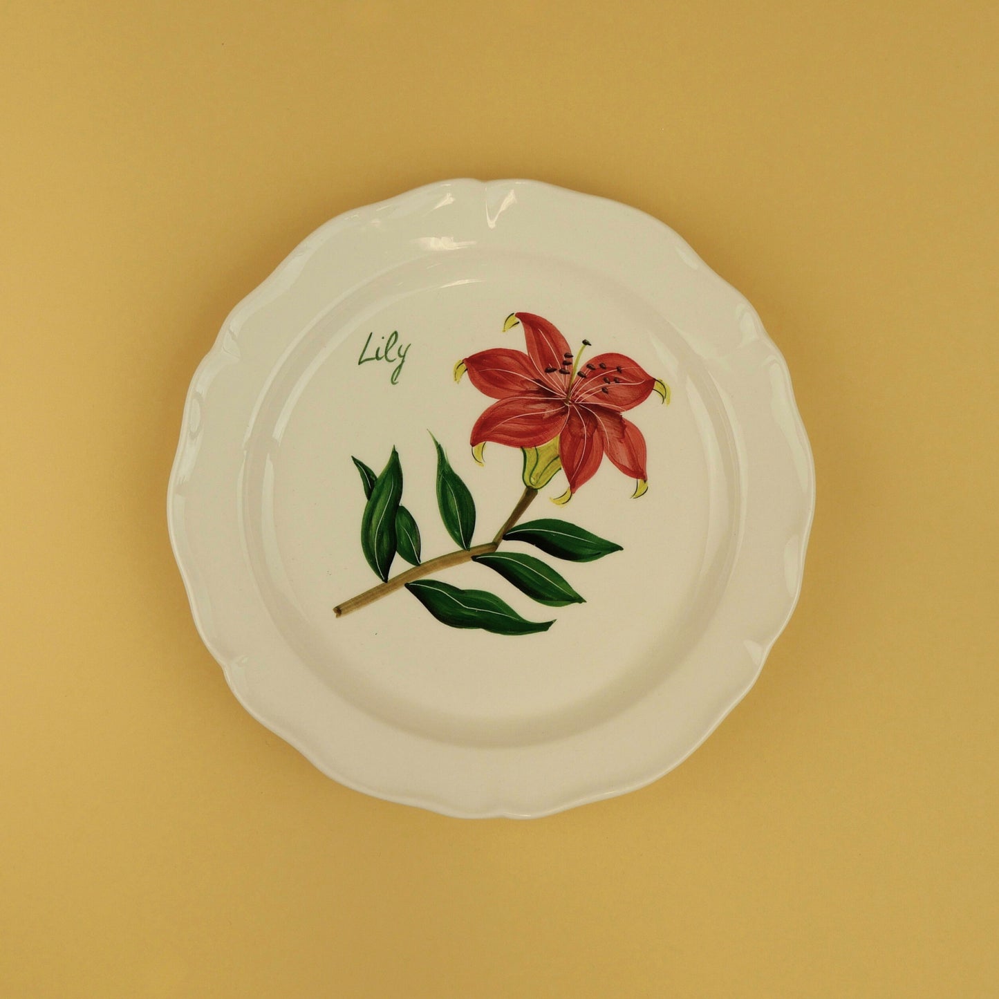 Set of 4 Botanica Salad Plates