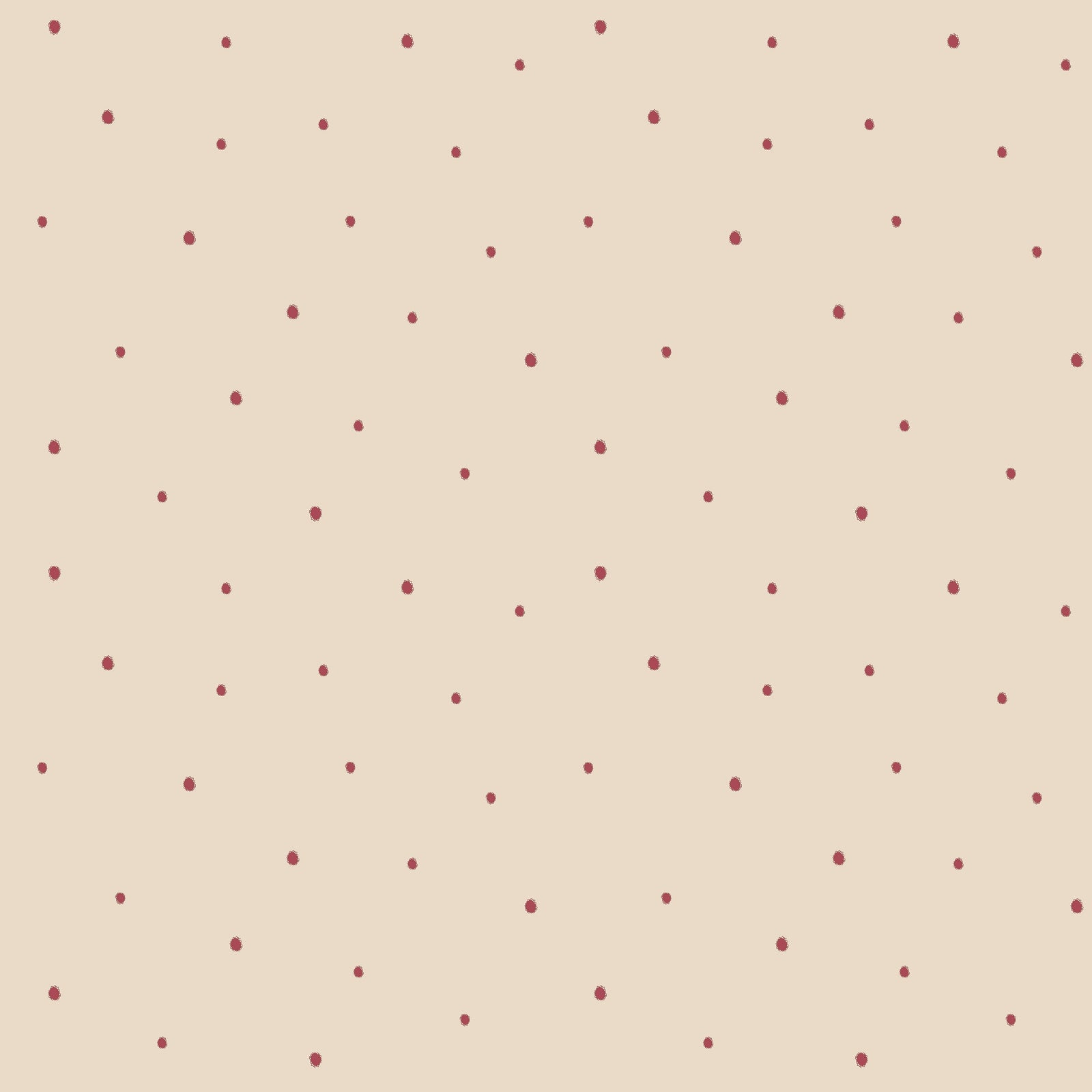 Dolce Daisies Wallpaper, Pavlova, Sample