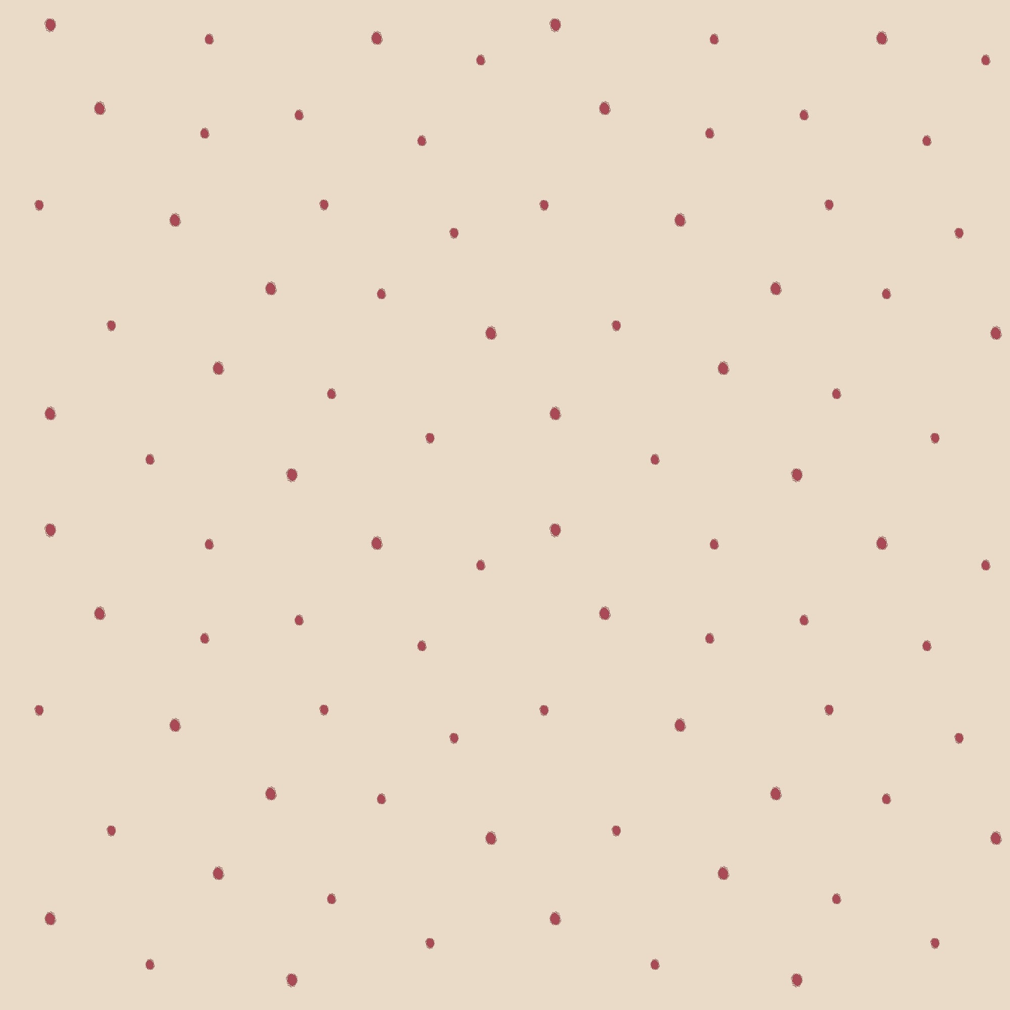 Dolce Daisies Wallpaper, Pavlova, Sample