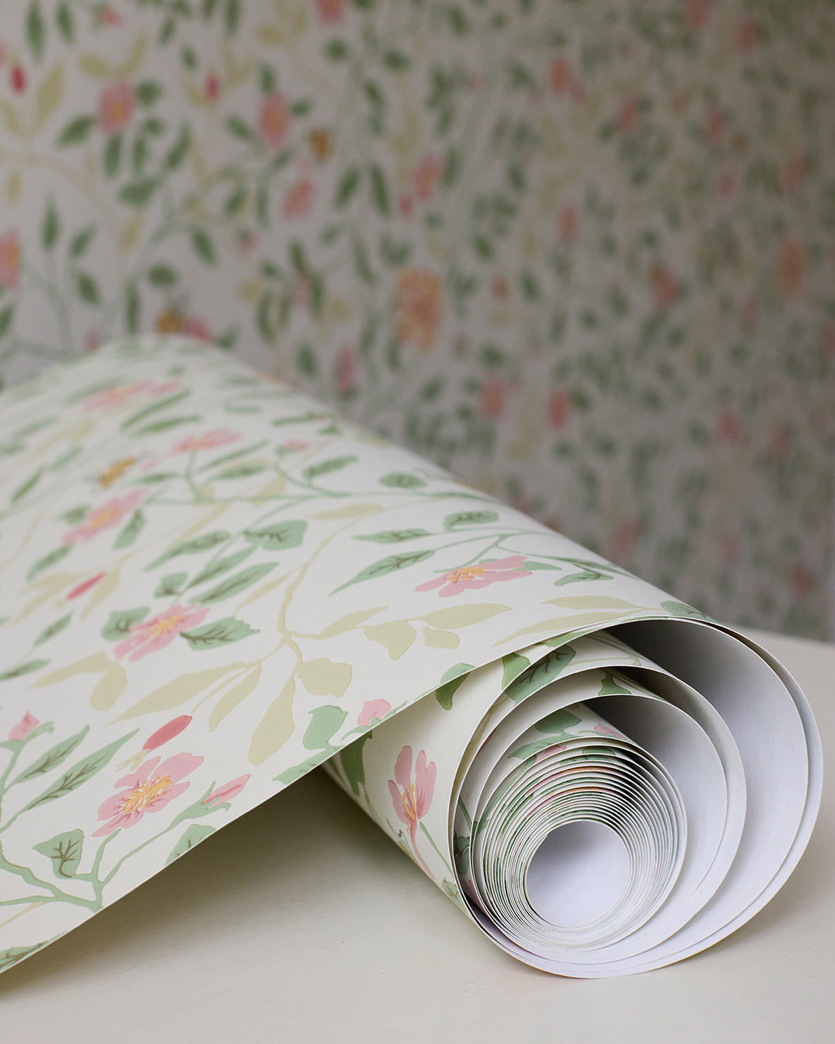 Wild Rose Wallpaper - Peridot