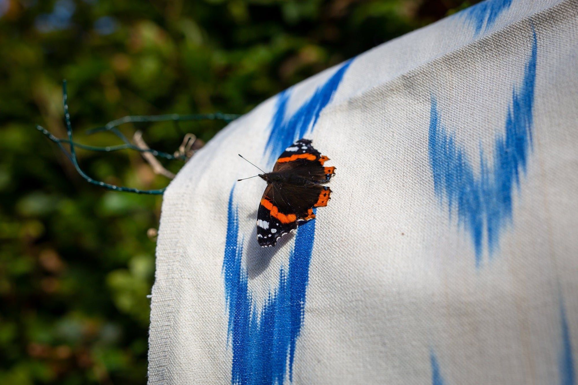 Vicens Fabric - Blue Swallows