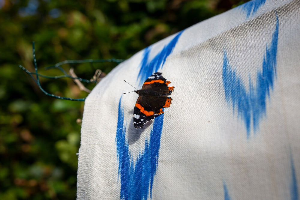 Vicens Fabric - Blue Swallows