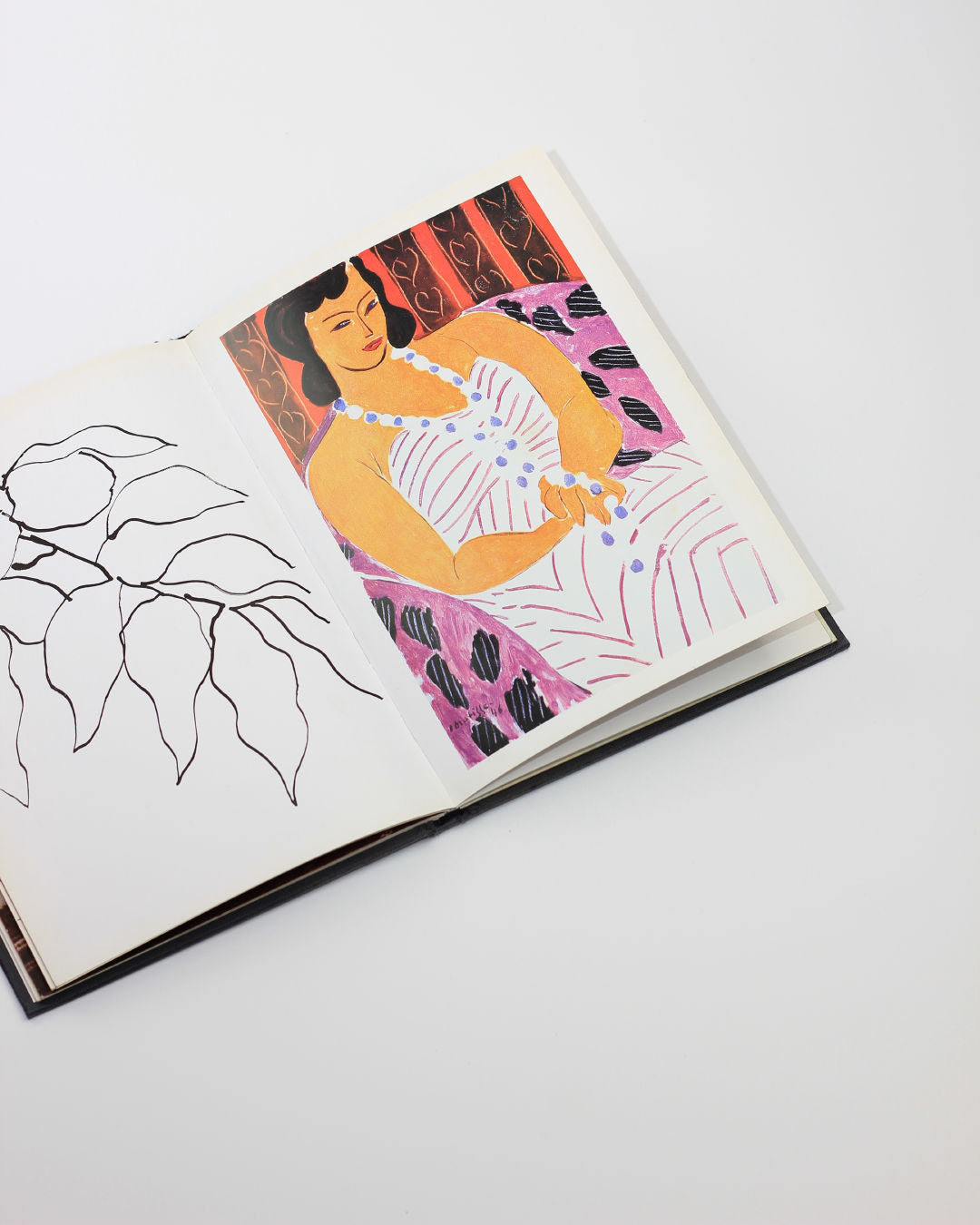 Matisse in Nice Book