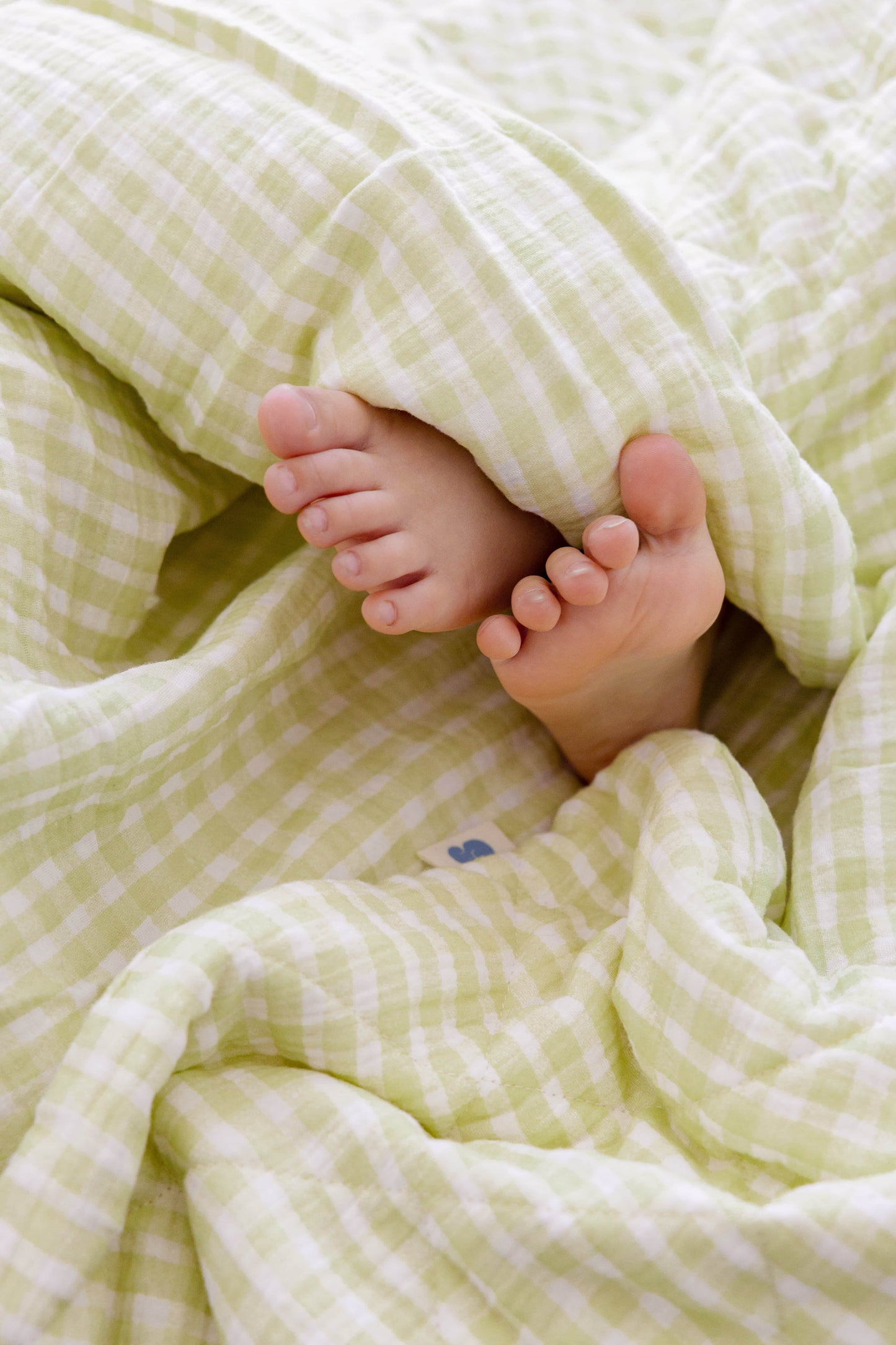 Soft Quilt Blanket – Pistachio