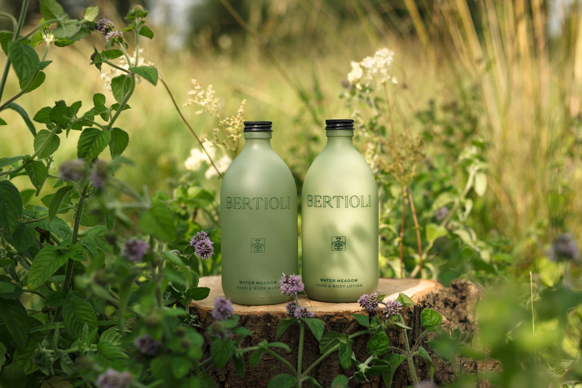 Water Meadow Hand and Body Lotion