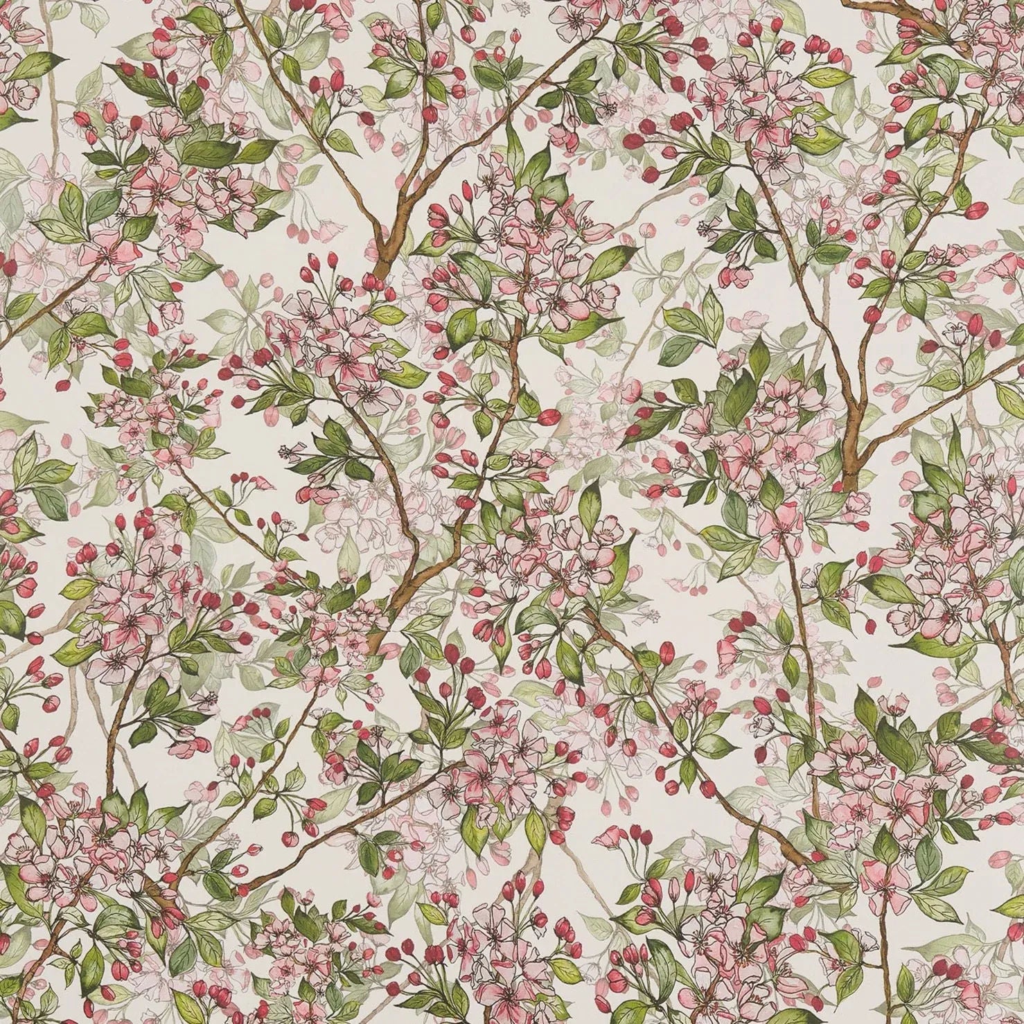 Cherry Blossom Wallpaper