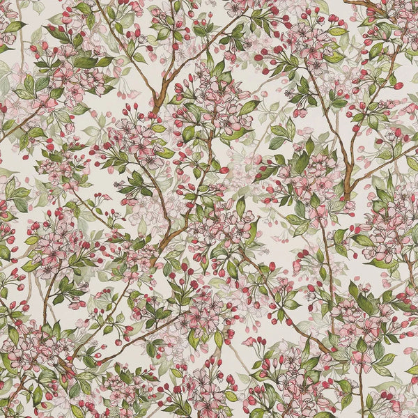 Cherry Blossom Wallpaper