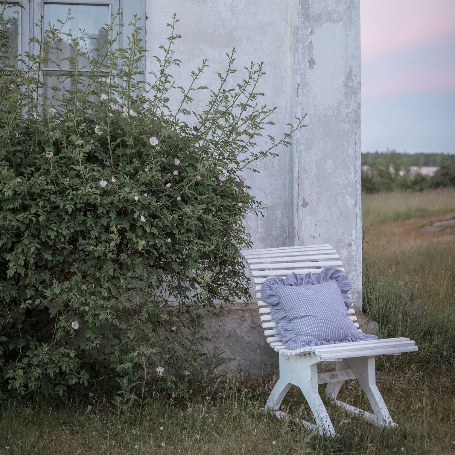 Frill Cushion Shirt Blue/Brown