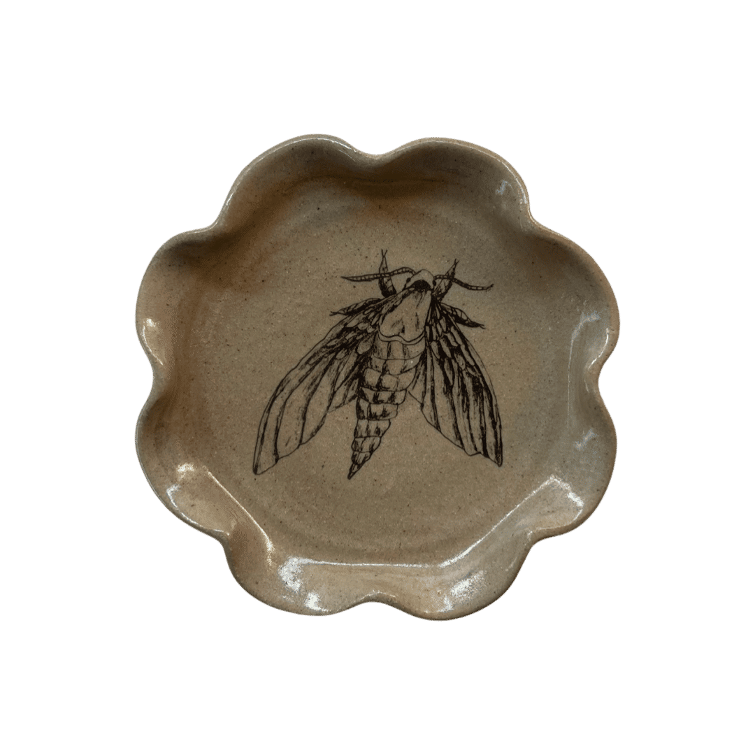 Frilly Dish - Moth
