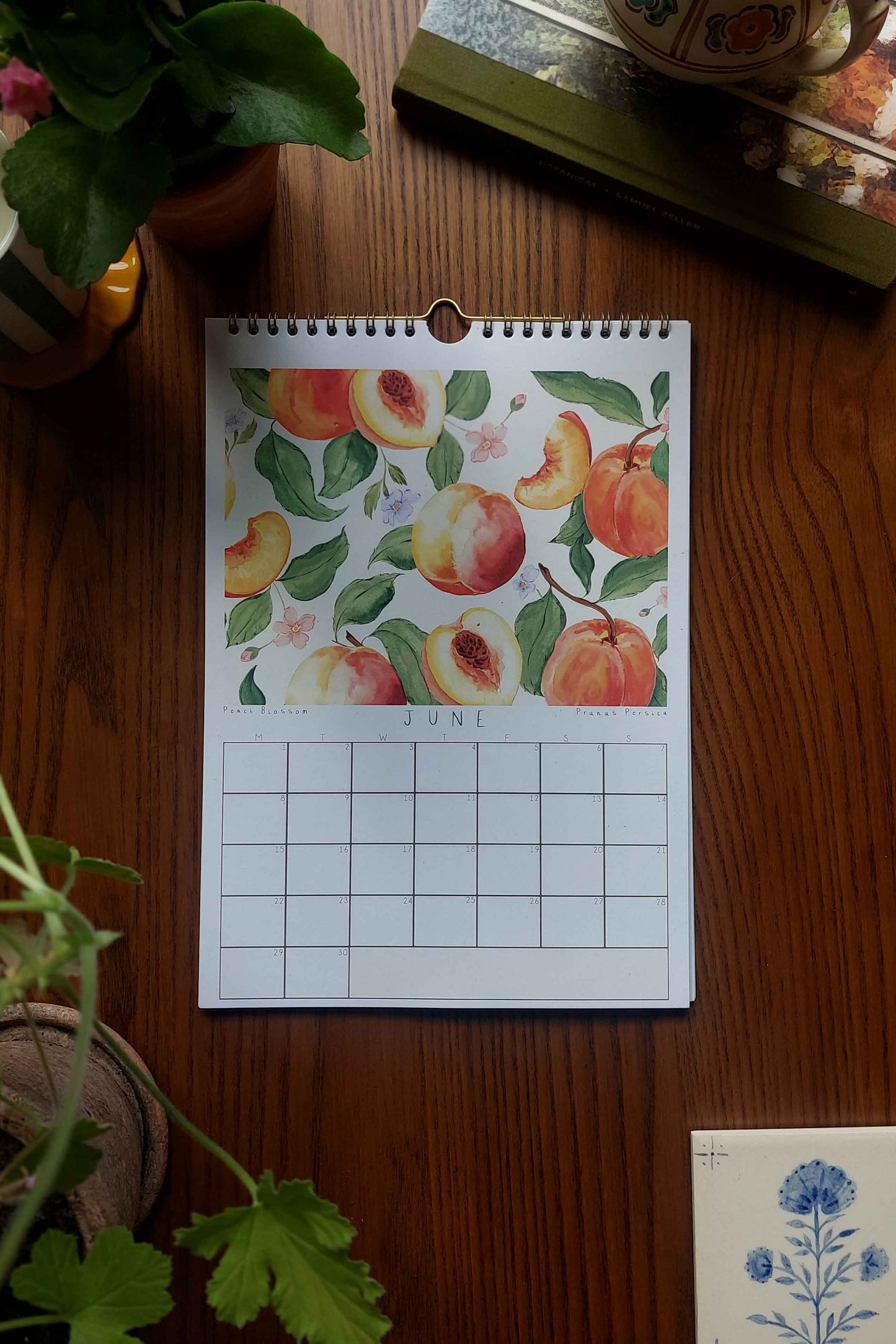 2026 Fruit Wall Calendar
