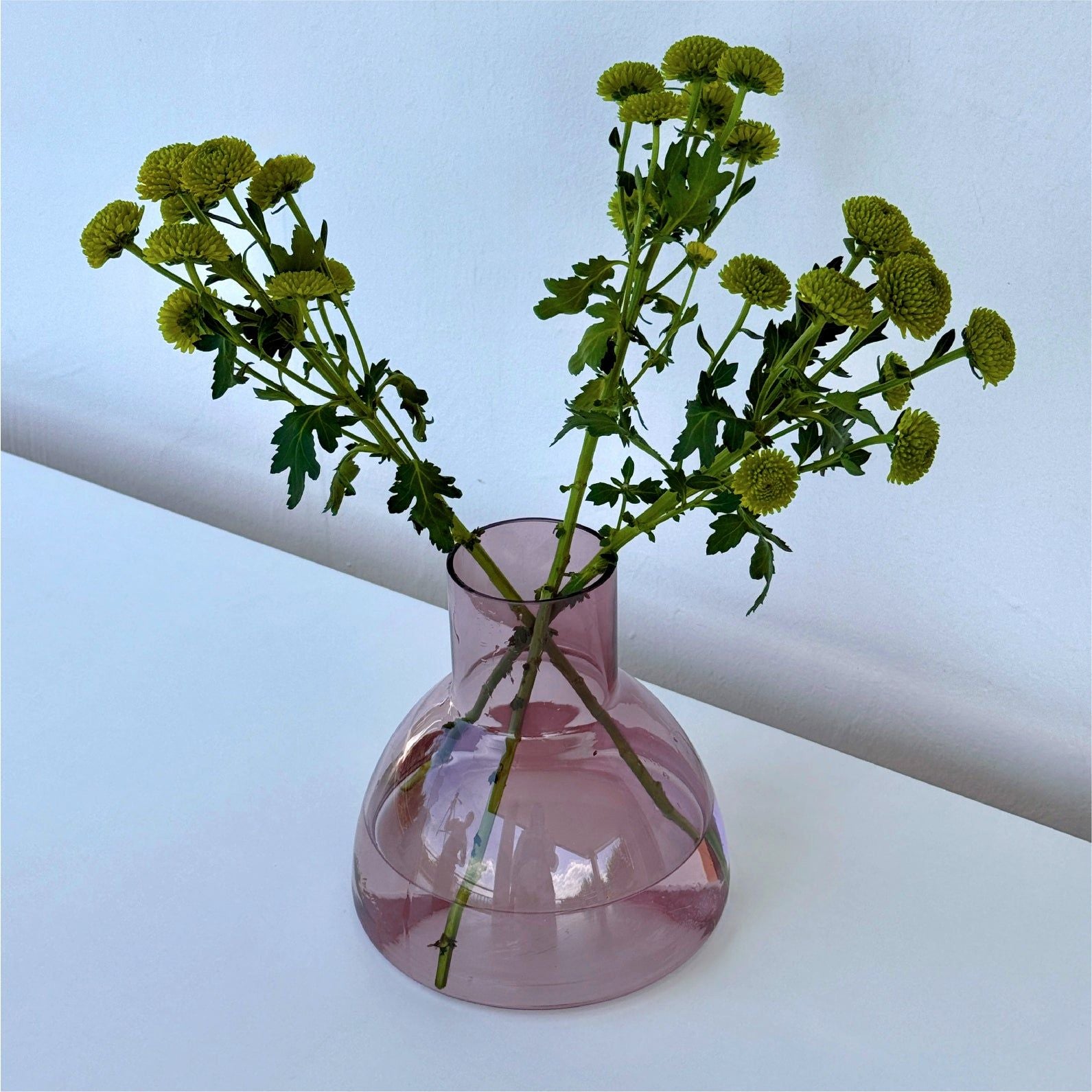 PLASH Carafe Aubergine