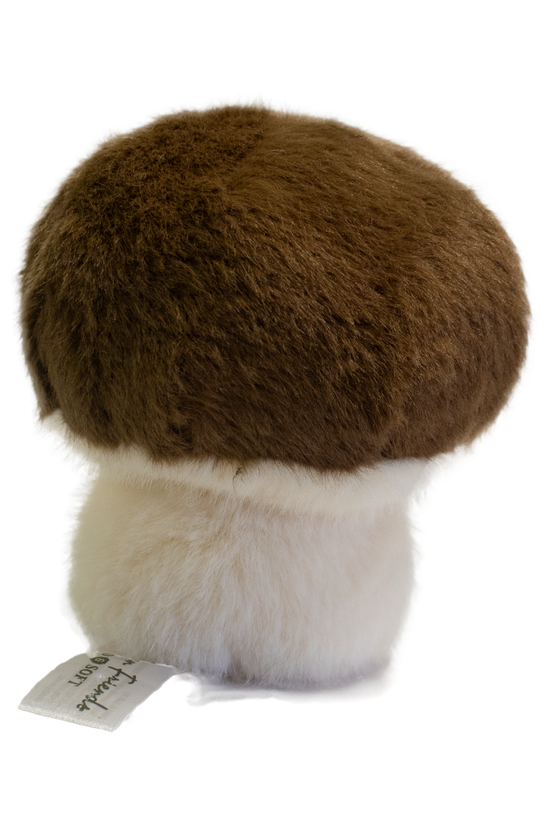 Garden Friends Mushroom
