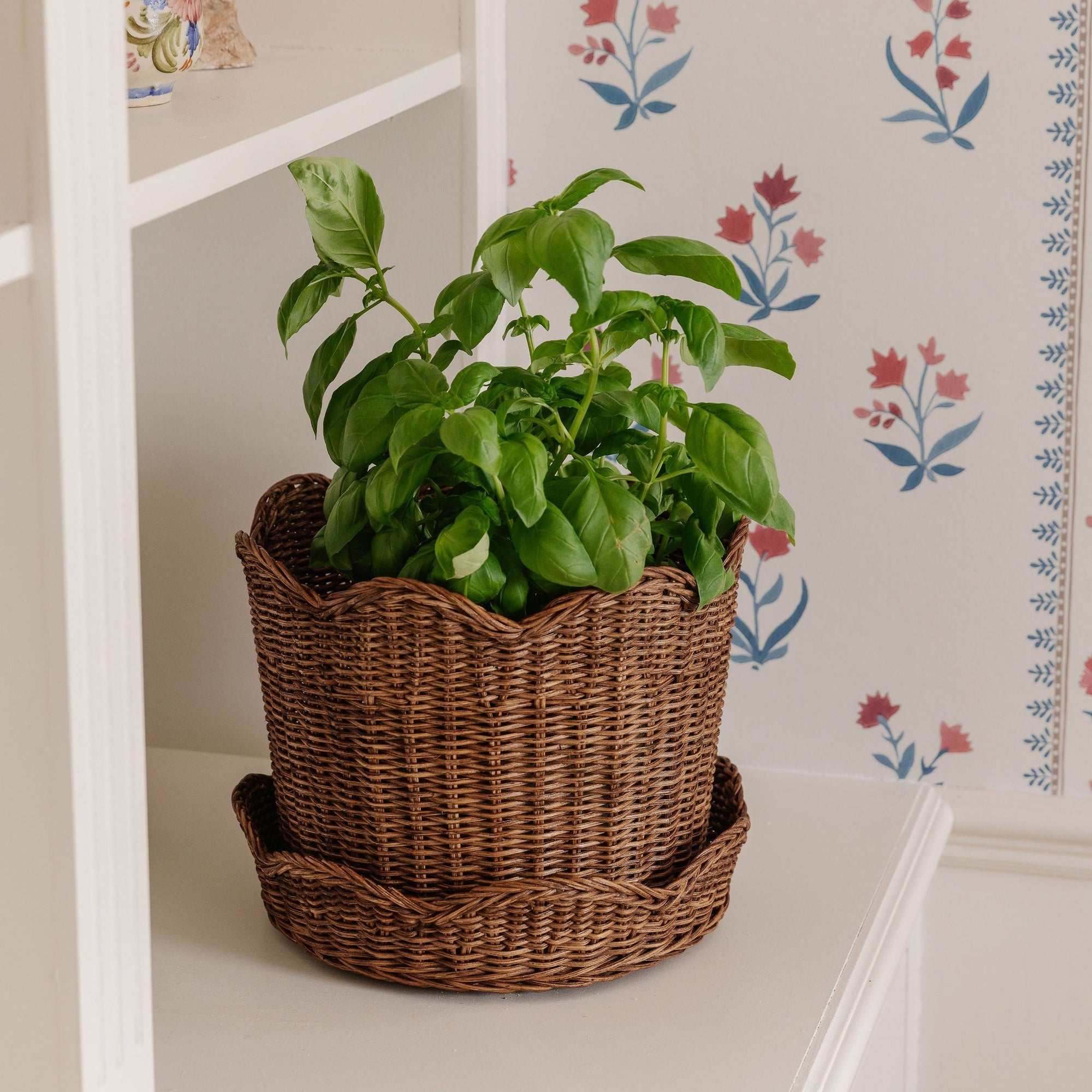 Clara Rattan Bin & Planter, Small