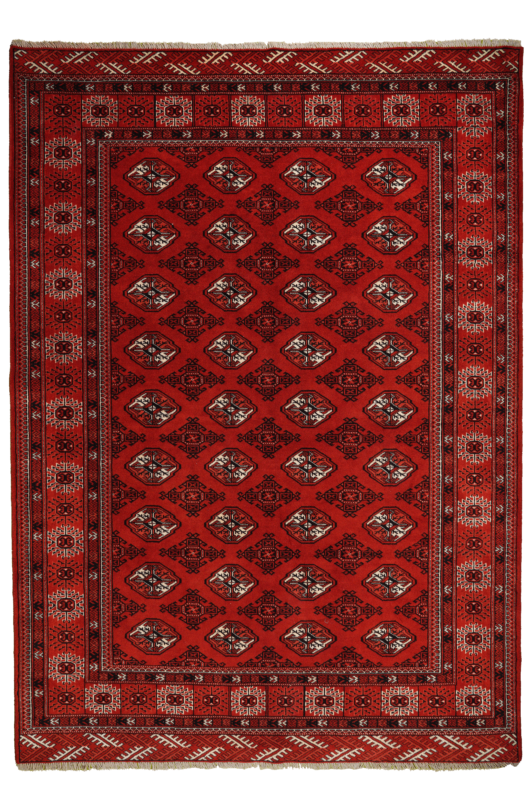 Turkman Carpet