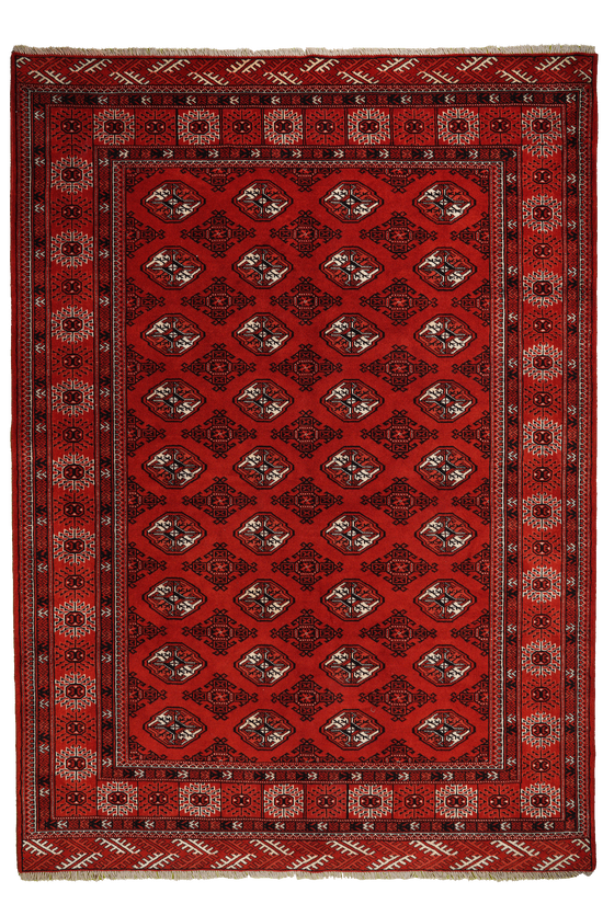 Turkman Carpet