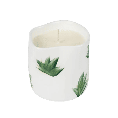 Plants Candle
