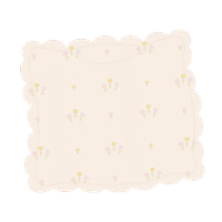 Soft Petal Cushion Covers (Set of 2) – Tulips