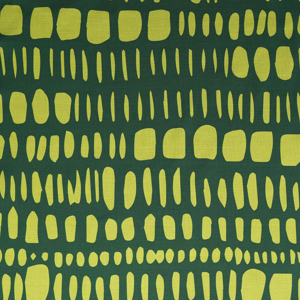 Sari Fabric
