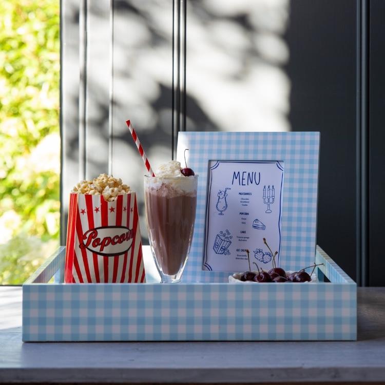 Blue Medium Gingham Tray