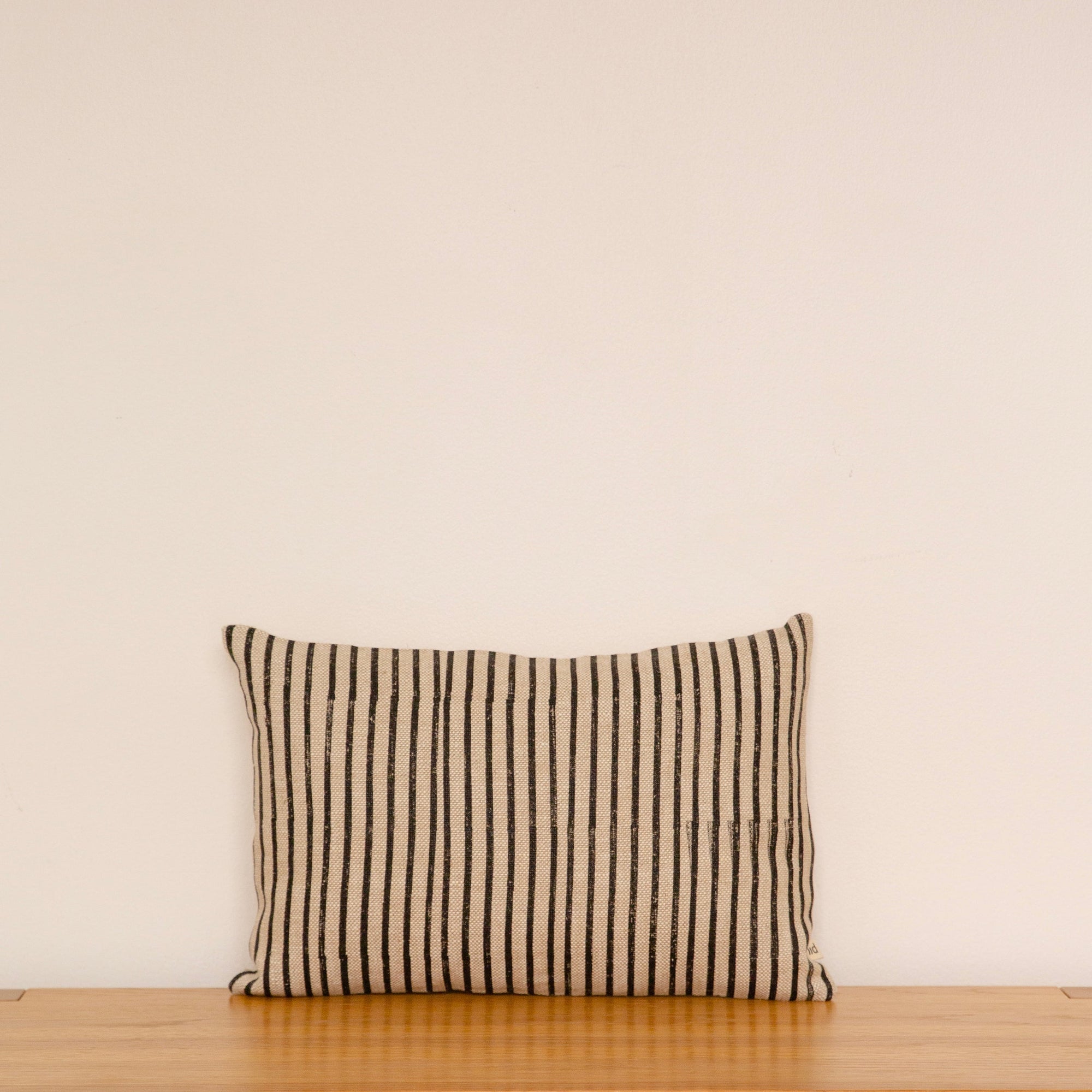 RAYURES Cushion