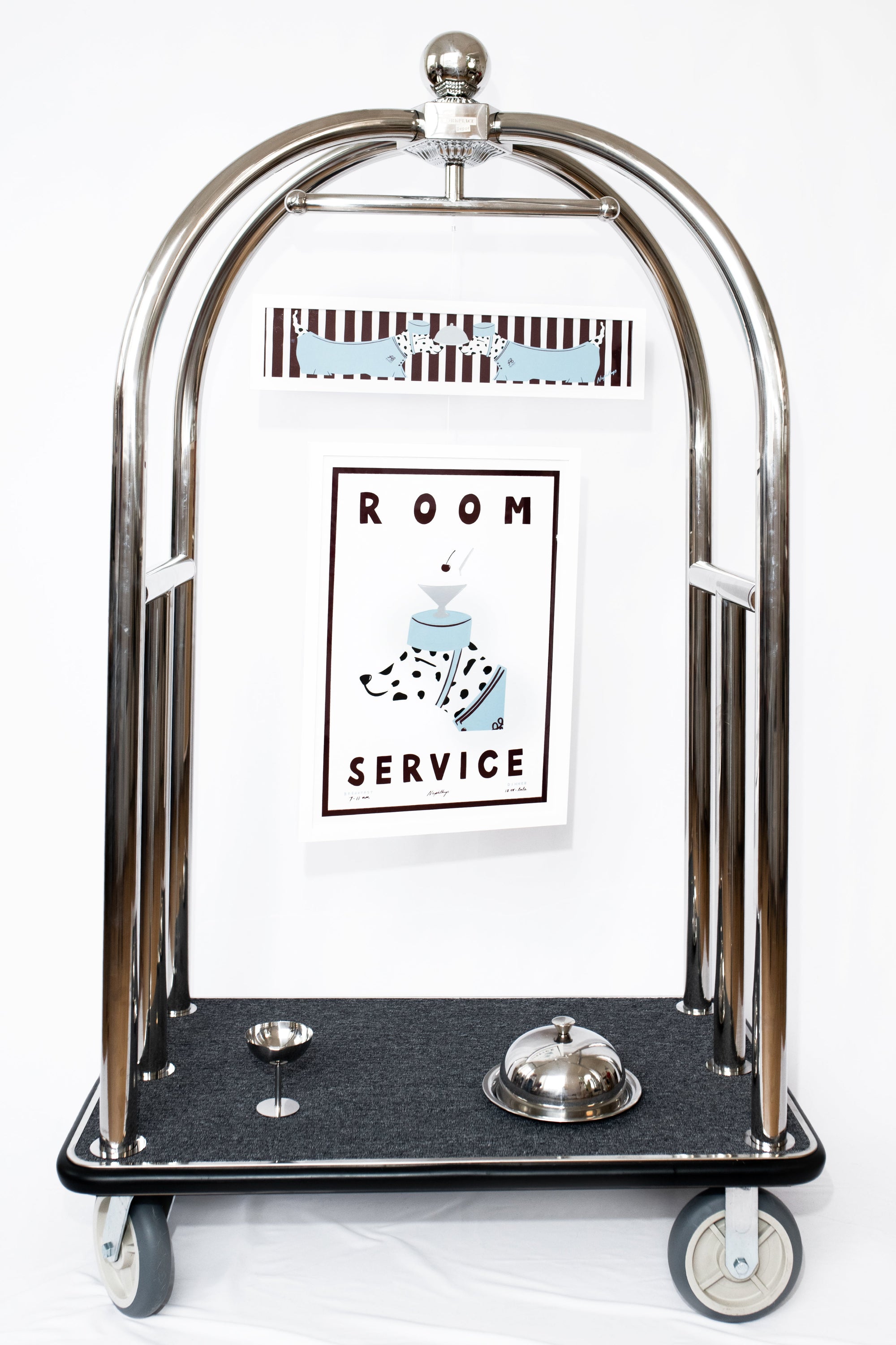 Dalmatian Panoramic Framed Print