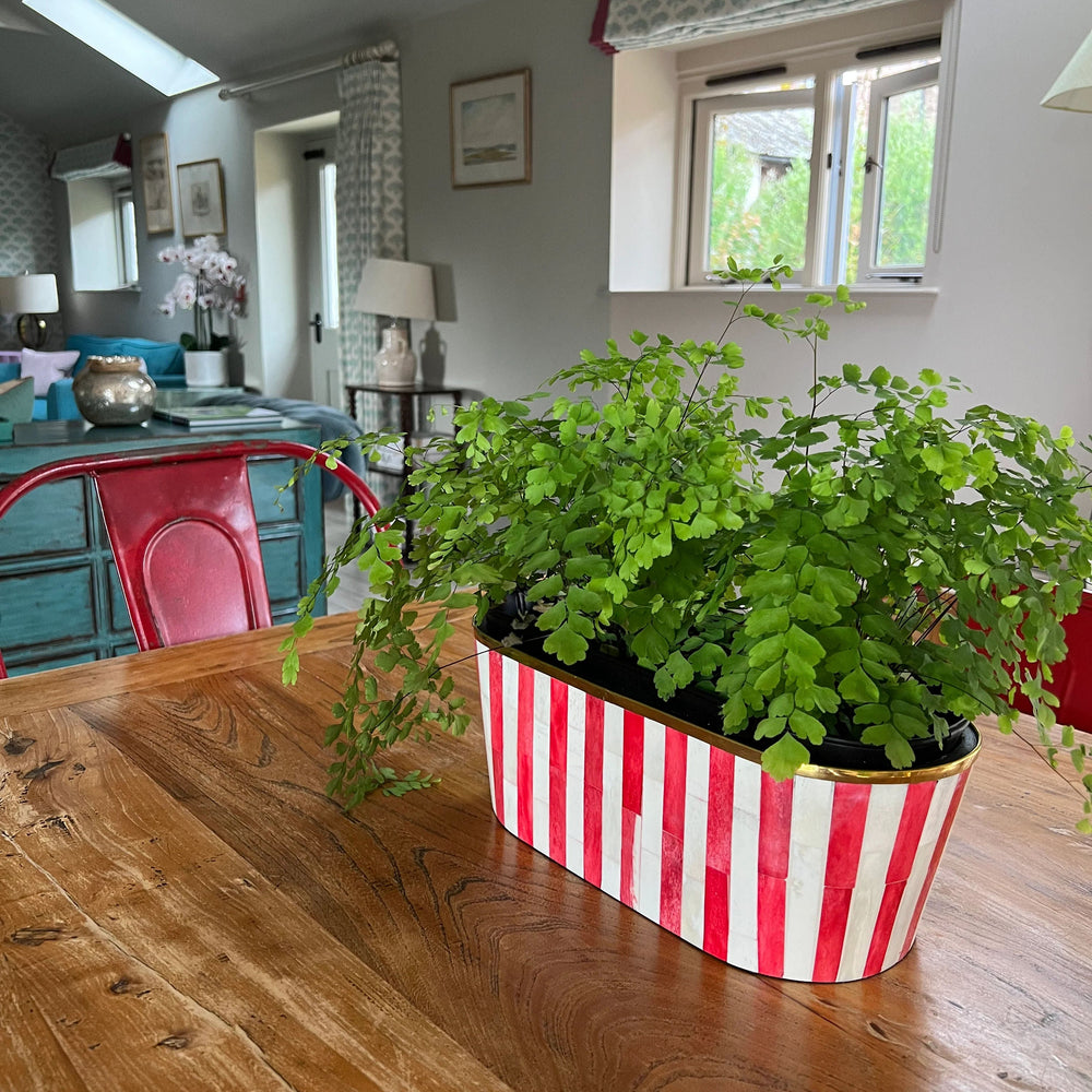Oblong Inlay Planter | Large | Ruby Red | Striped