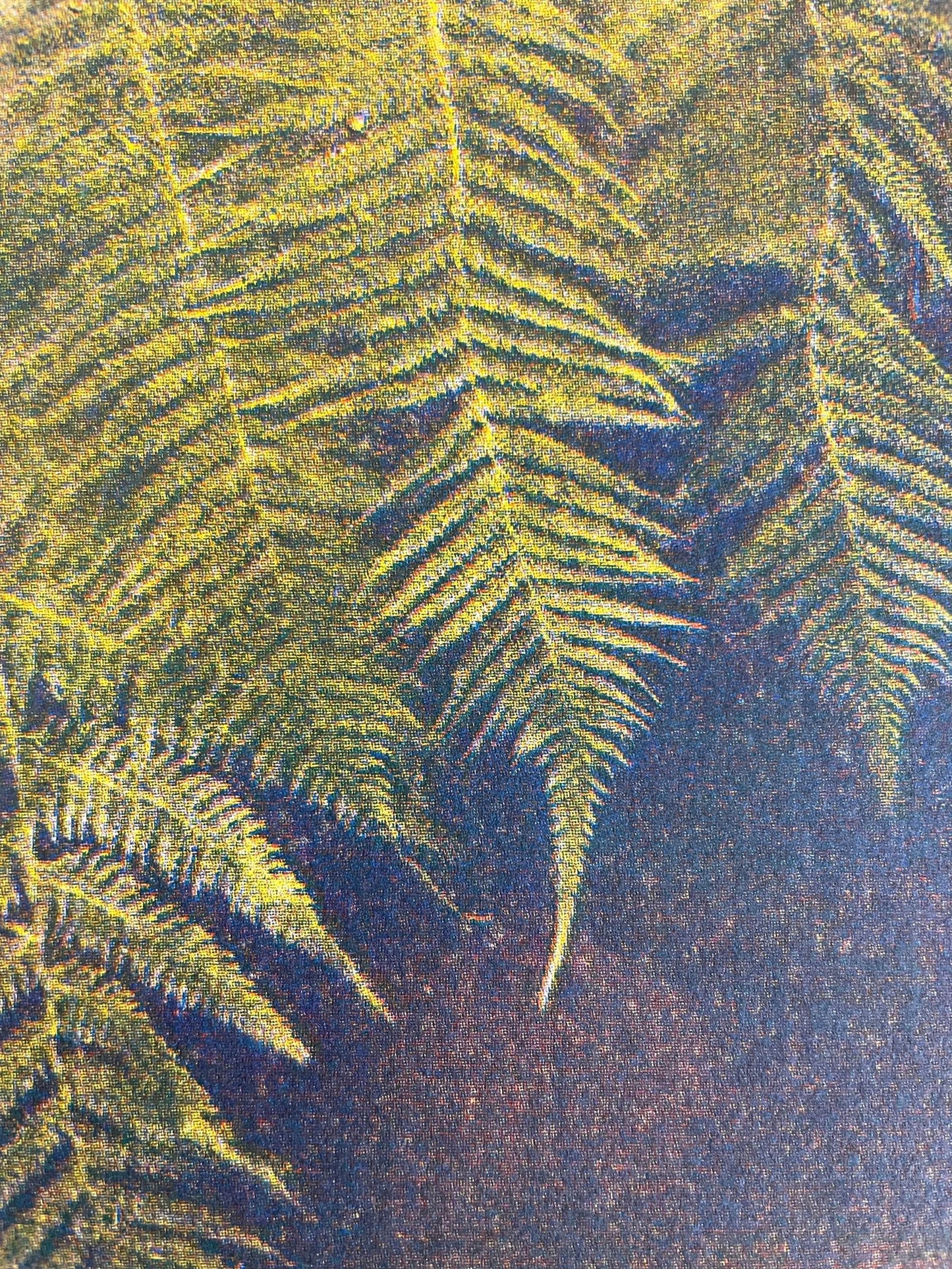 Ferns Against Botanical Window Print