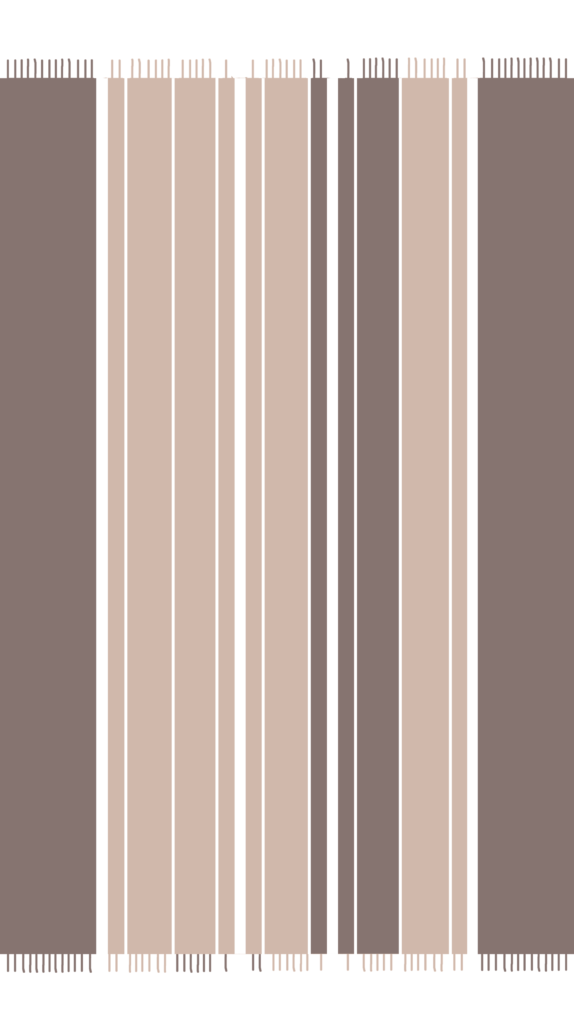 Pashmina Throw – 48x76 in