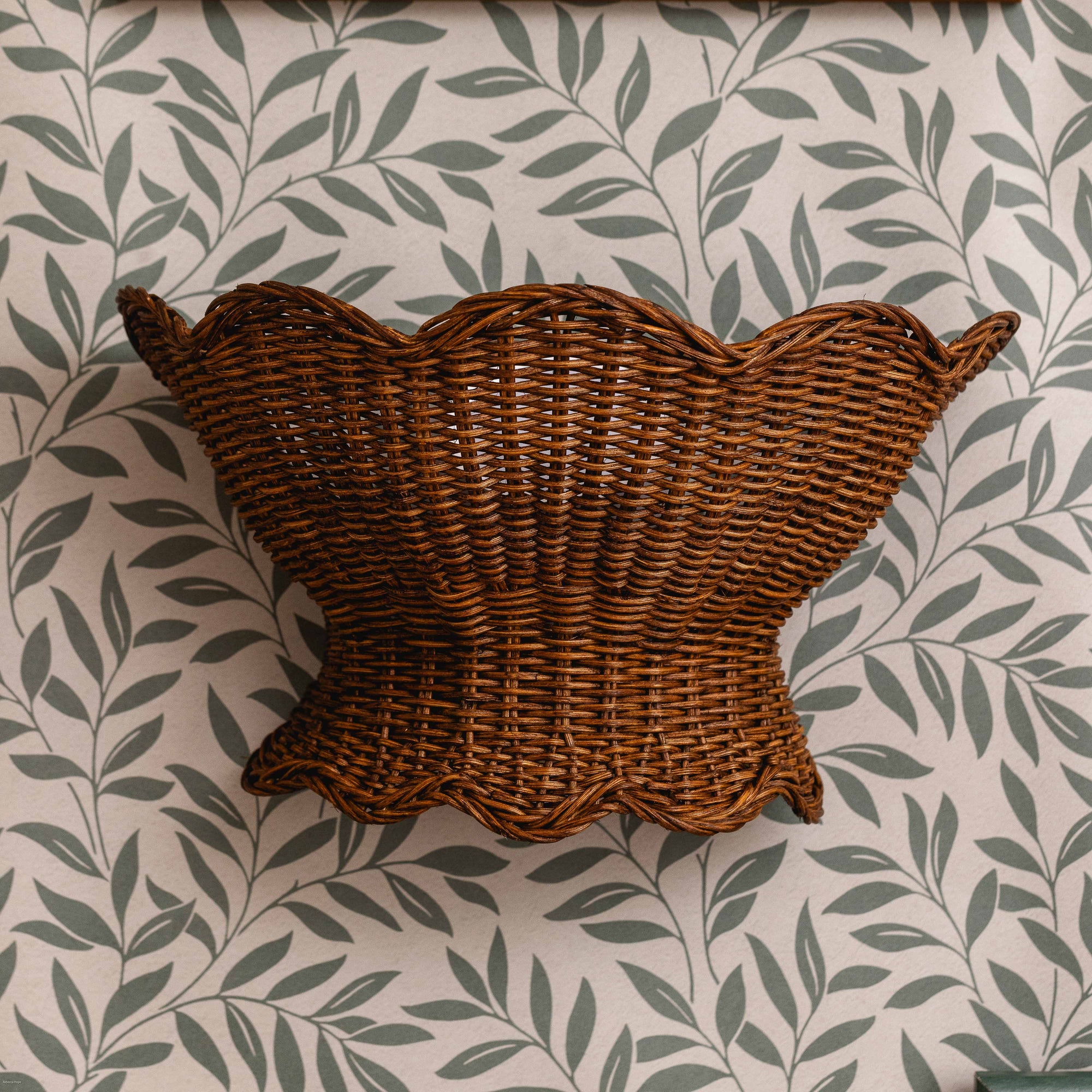 Anar Wall Light (Teak)