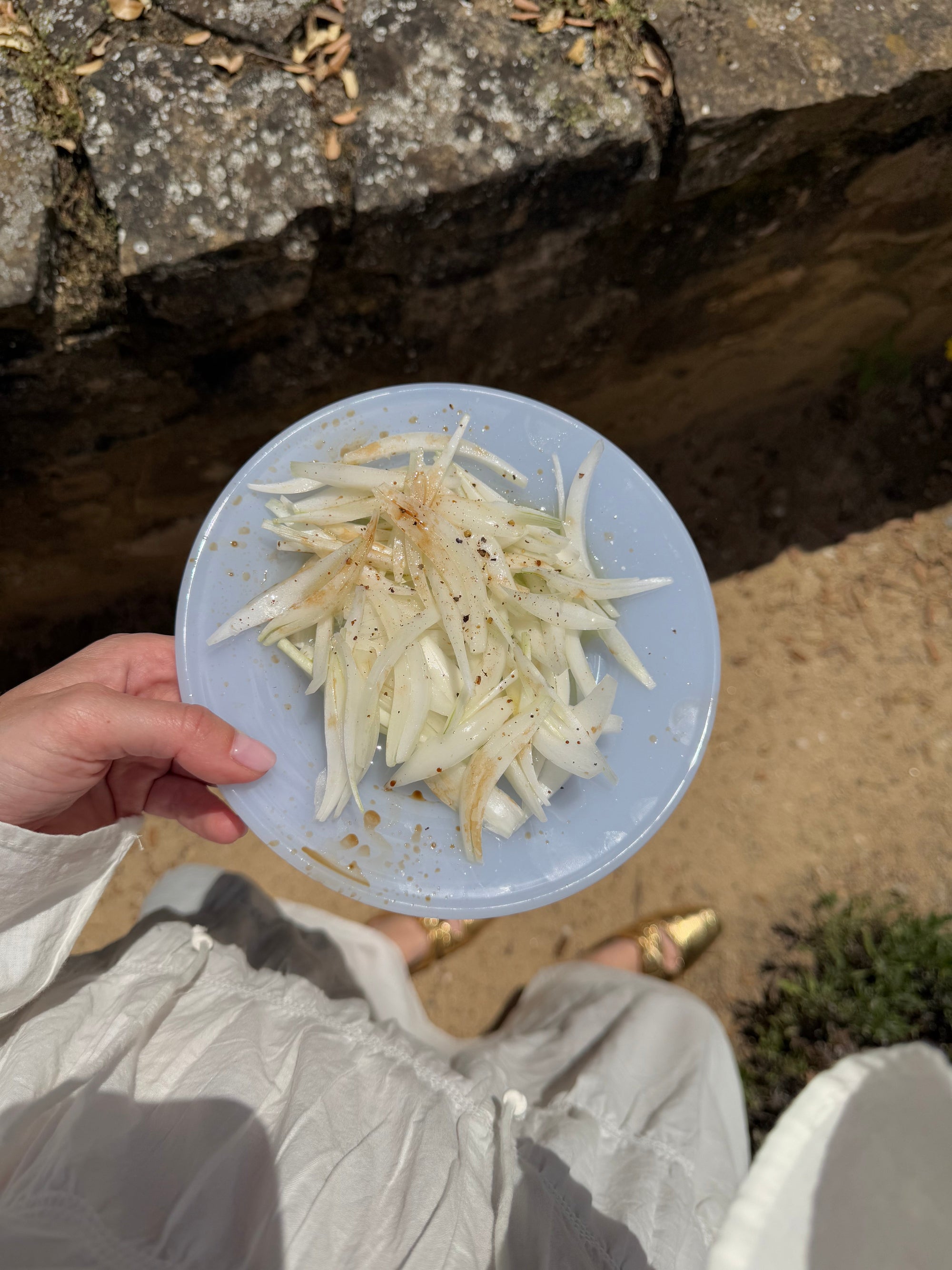 Brisita Plate - Light Blue