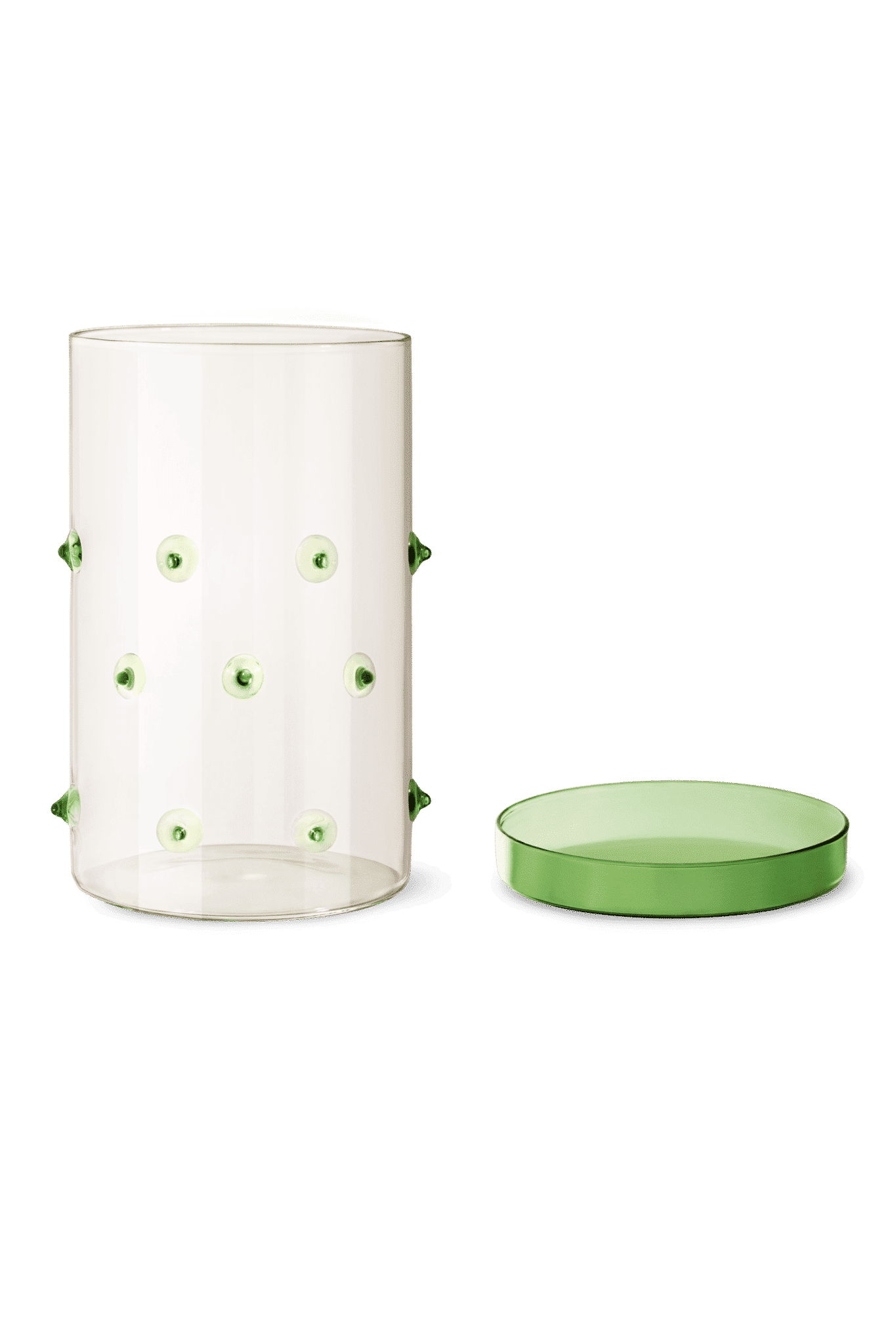 Agave Glass Container Large