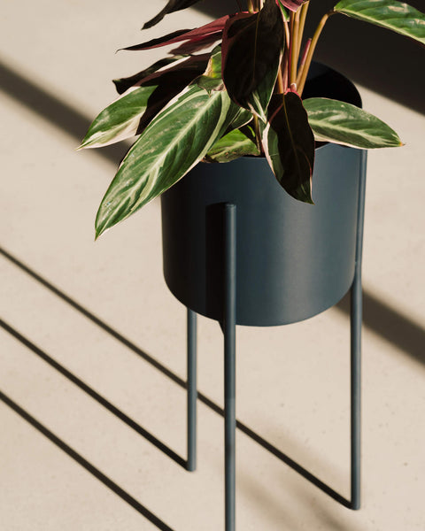 Maki Plant Pot - Tall-