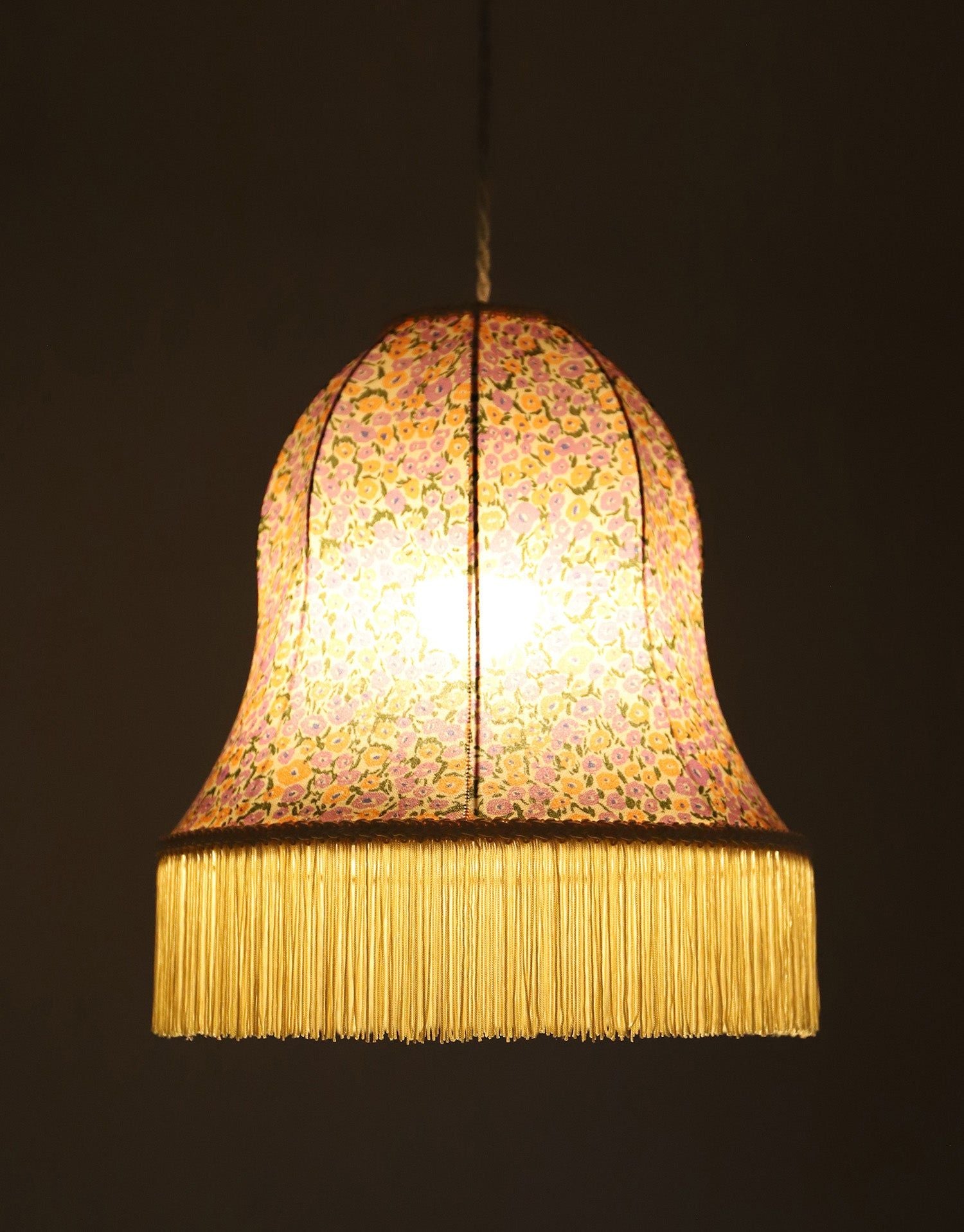 Armande "Bell" Shape Pendant Light with Fringe Print