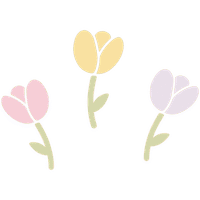Soft Tea Towels – Tulips