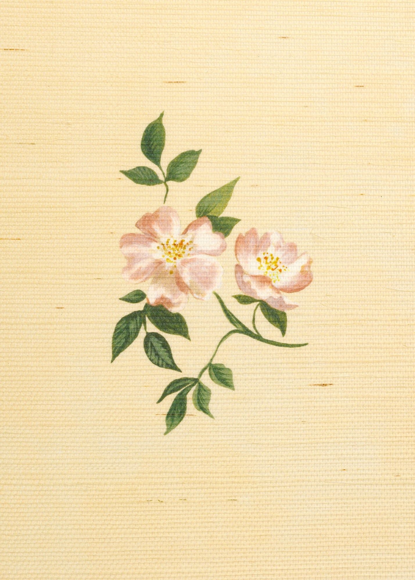 Herbarium Wildflower Grasscloth Wallpaper - Blush