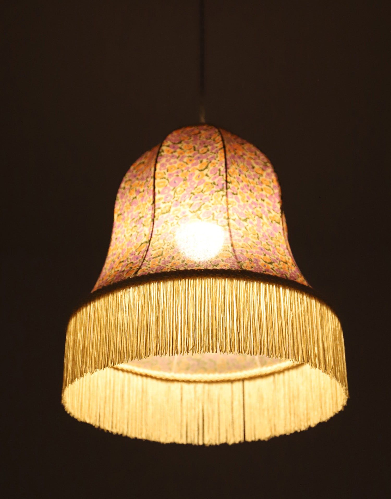 Armande "Bell" Shape Pendant Light with Fringe Print