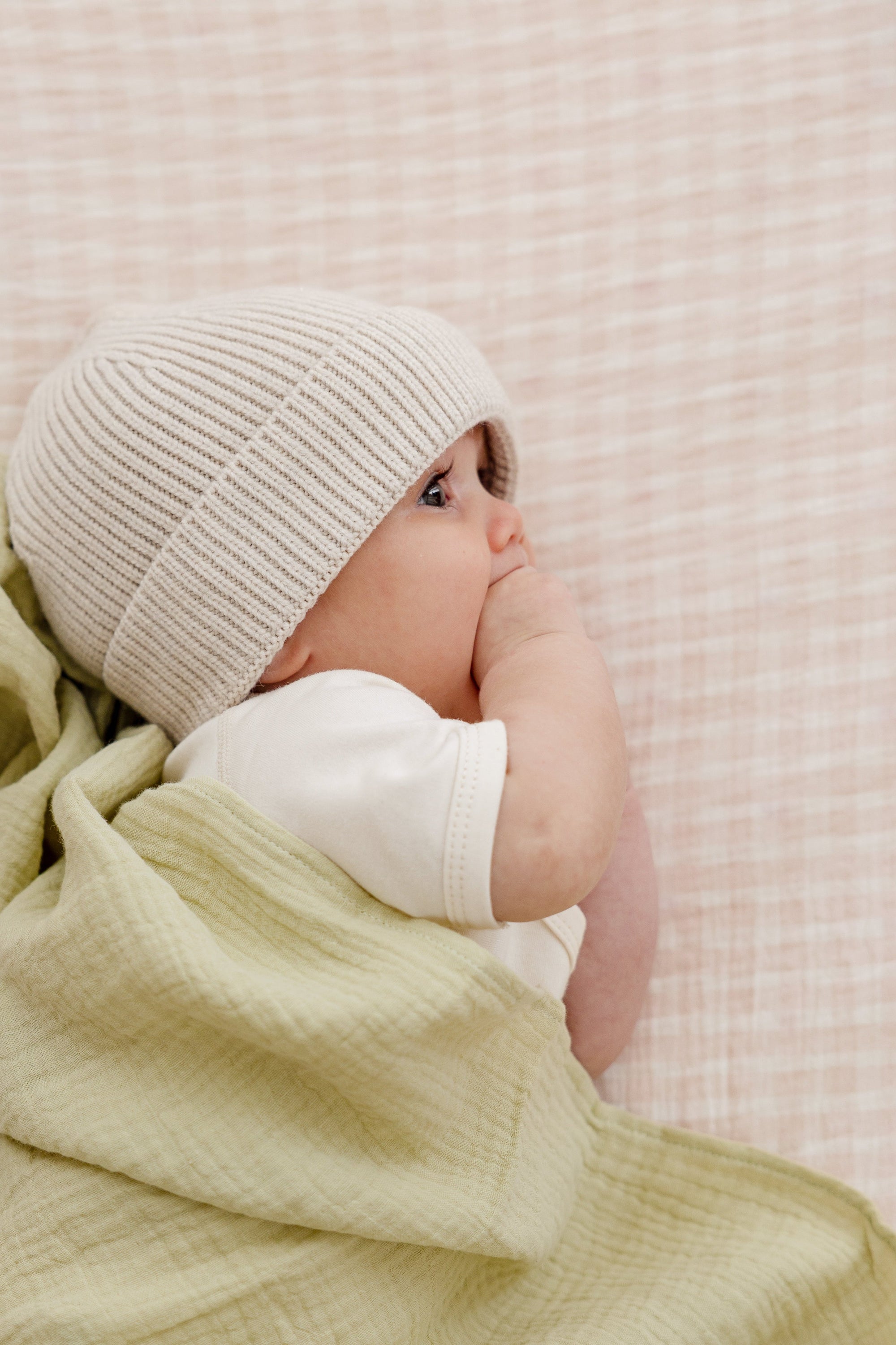 Soft Crib Sheet – Rosewater