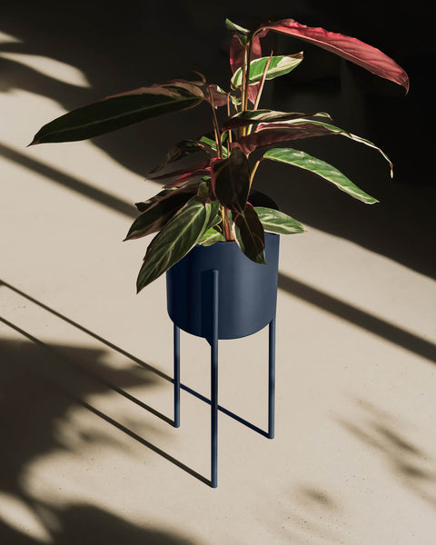 Maki Plant Pot - Tall-