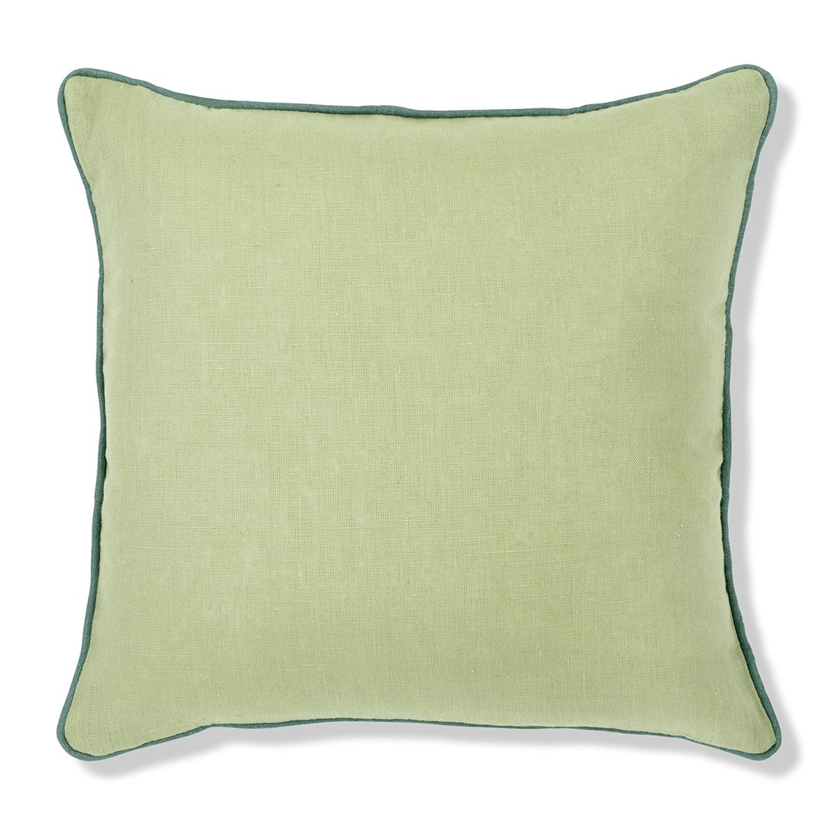Eucalyptus Cushion with Teal Piping