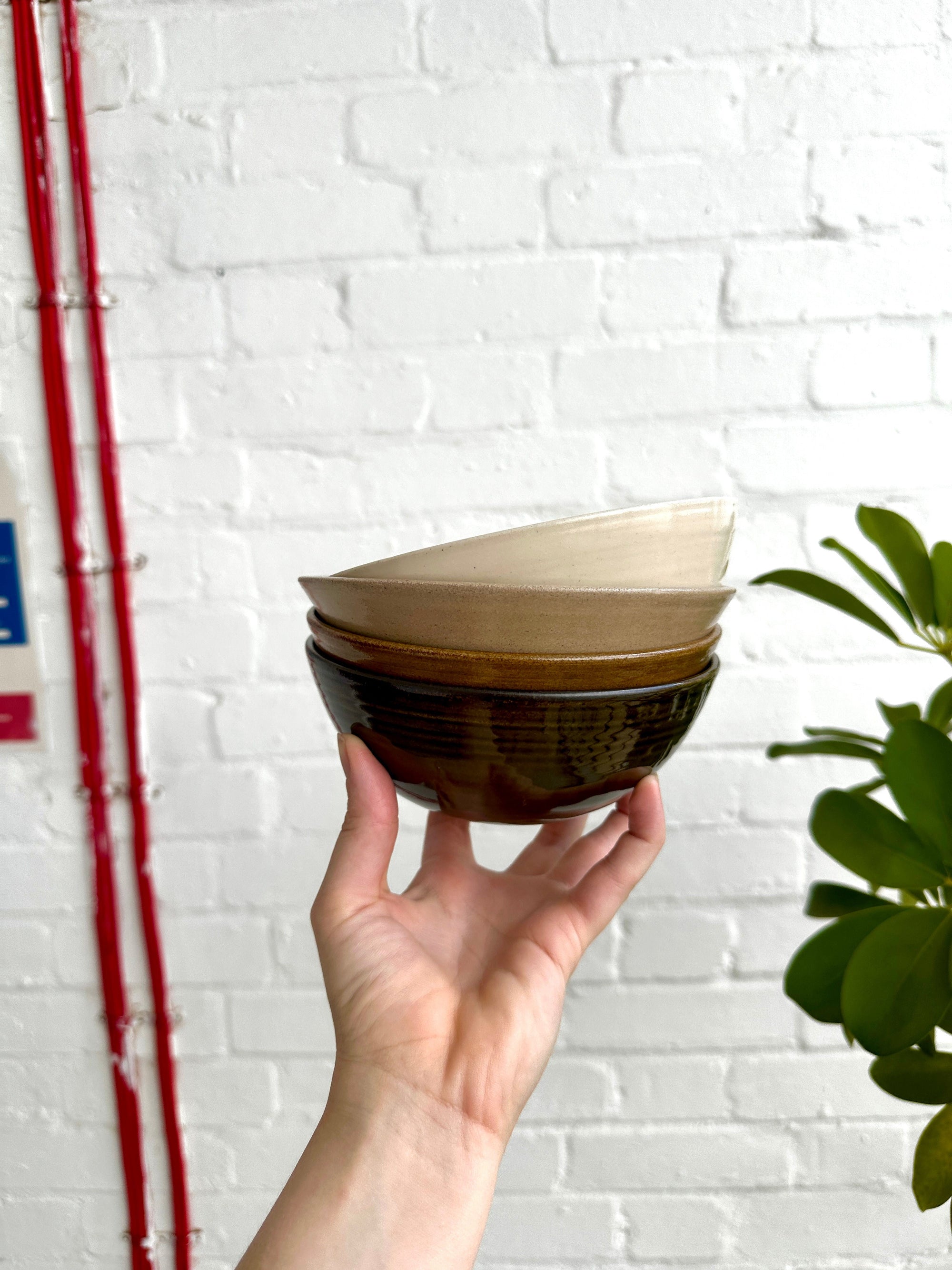 Breakfast Bowl