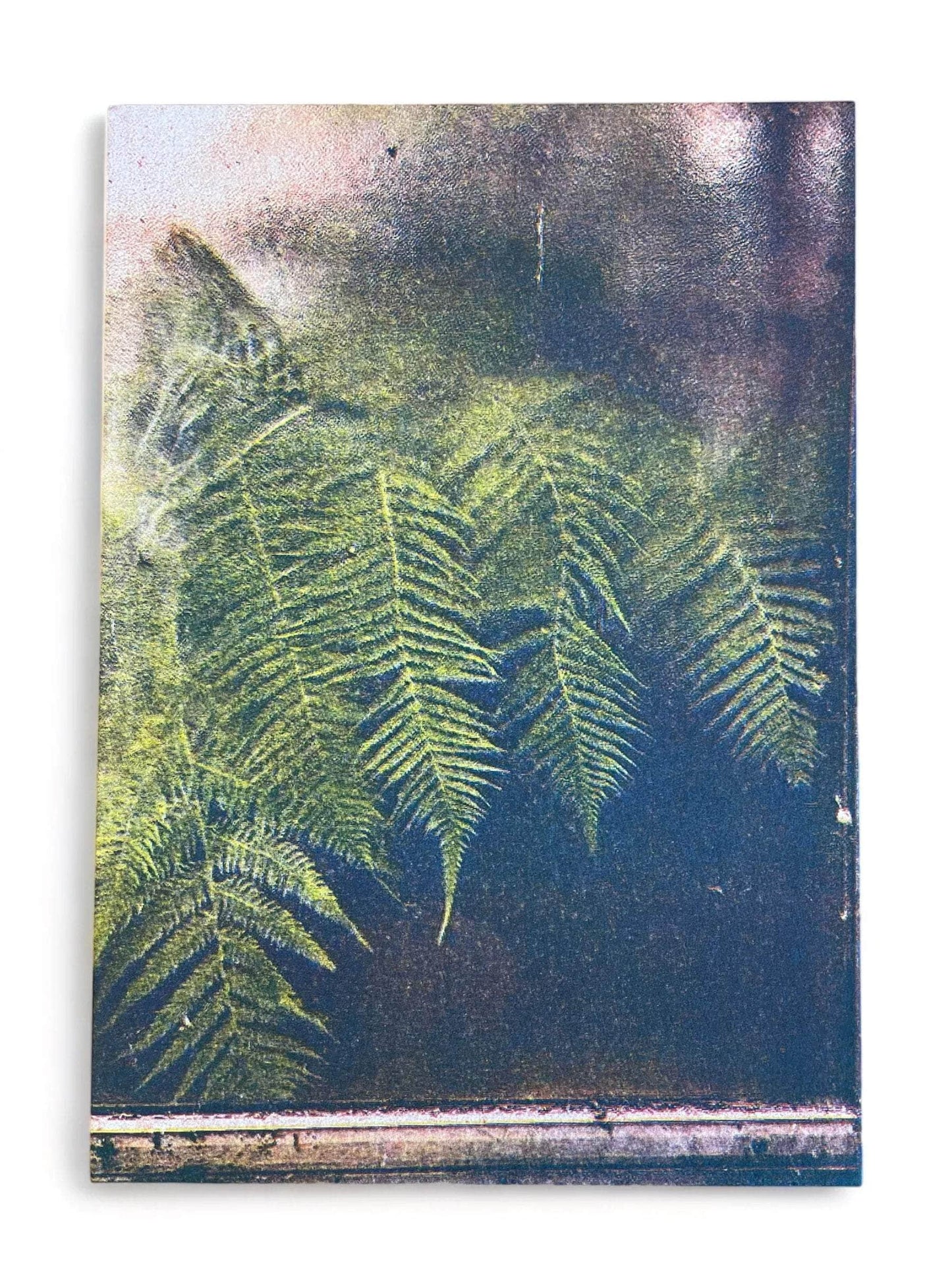 Ferns Against Botanical Window Print