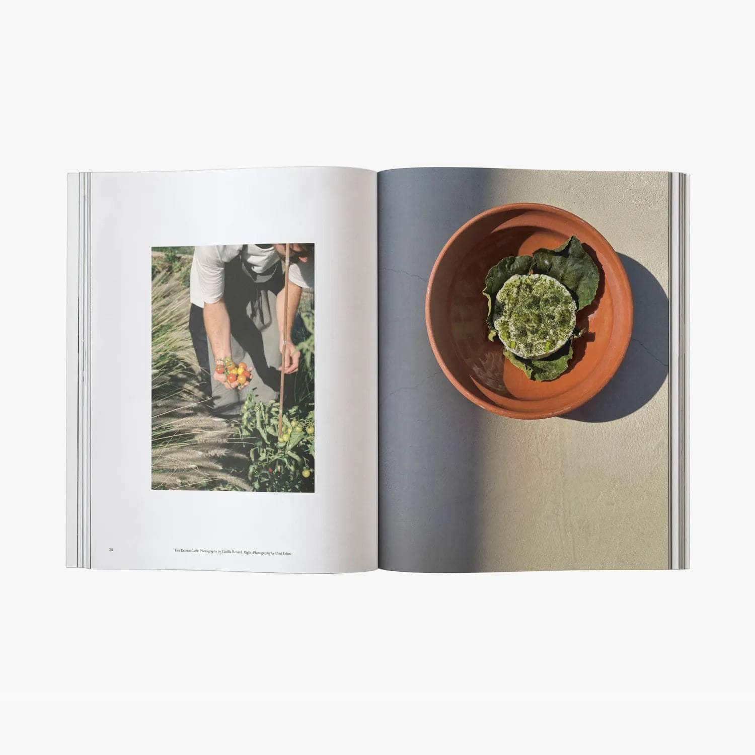 The Greek Foundation Vol 03